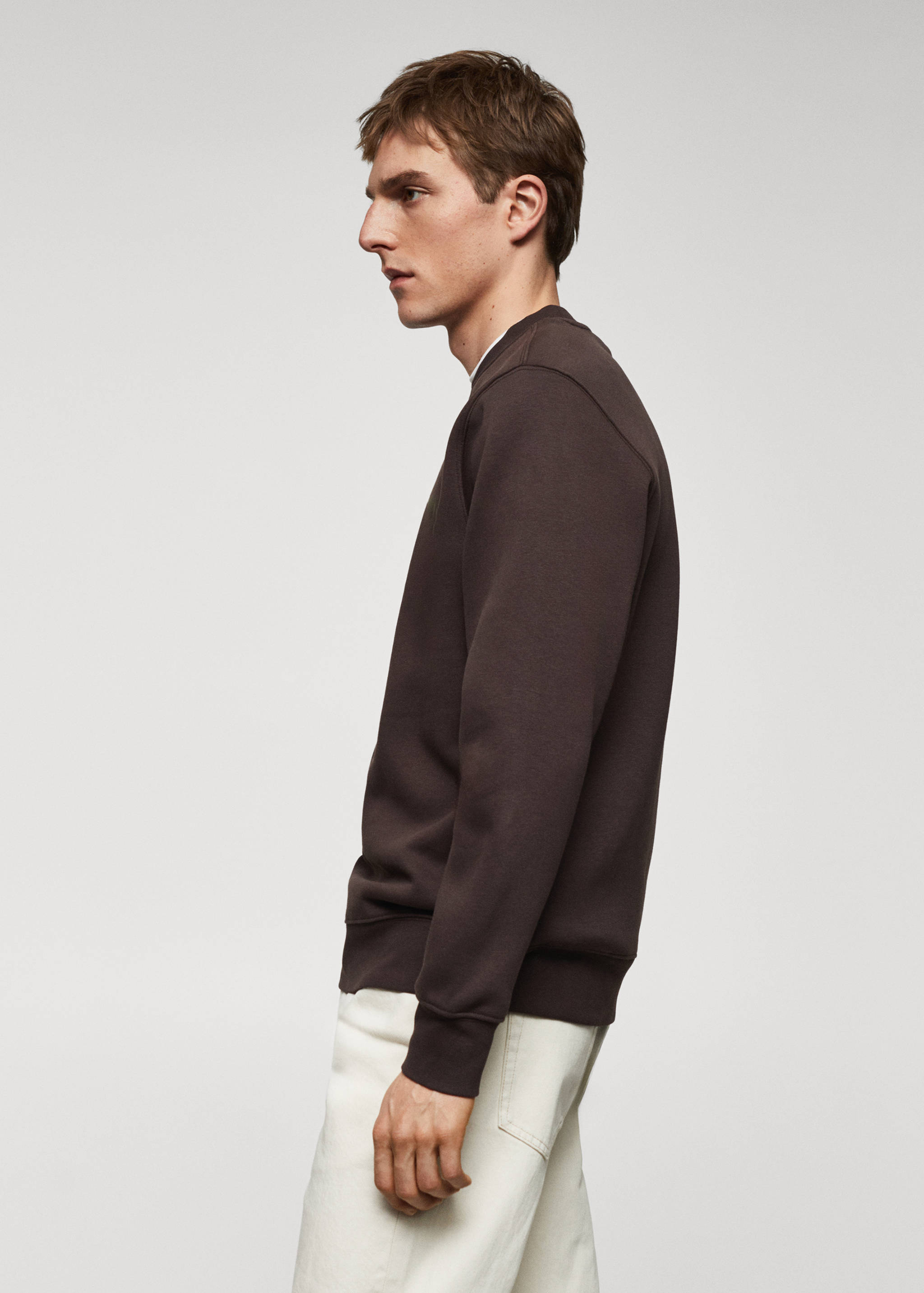 Lightweight cotton sweatshirt - Details of the article 2