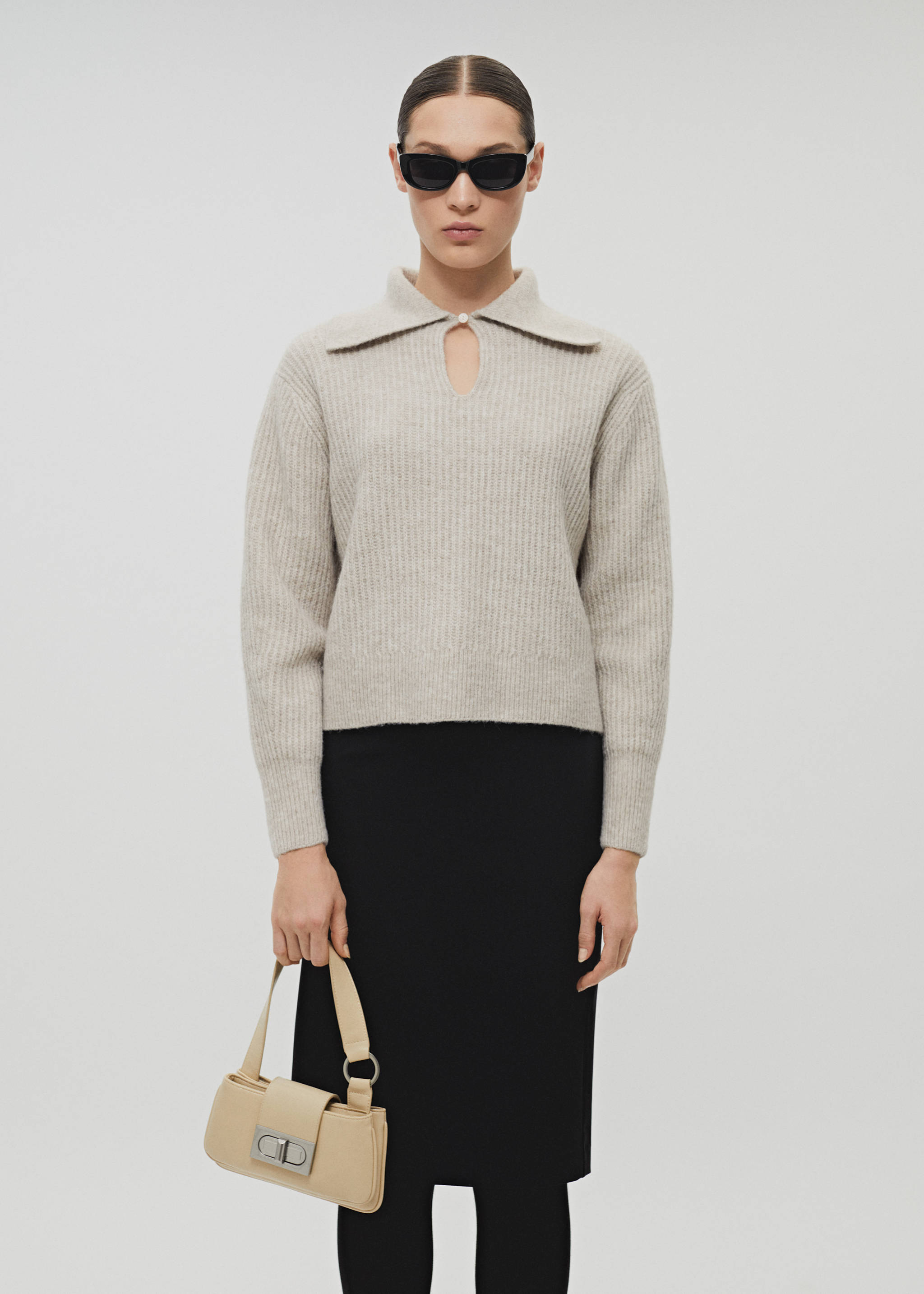 Double compartment bag - General plane