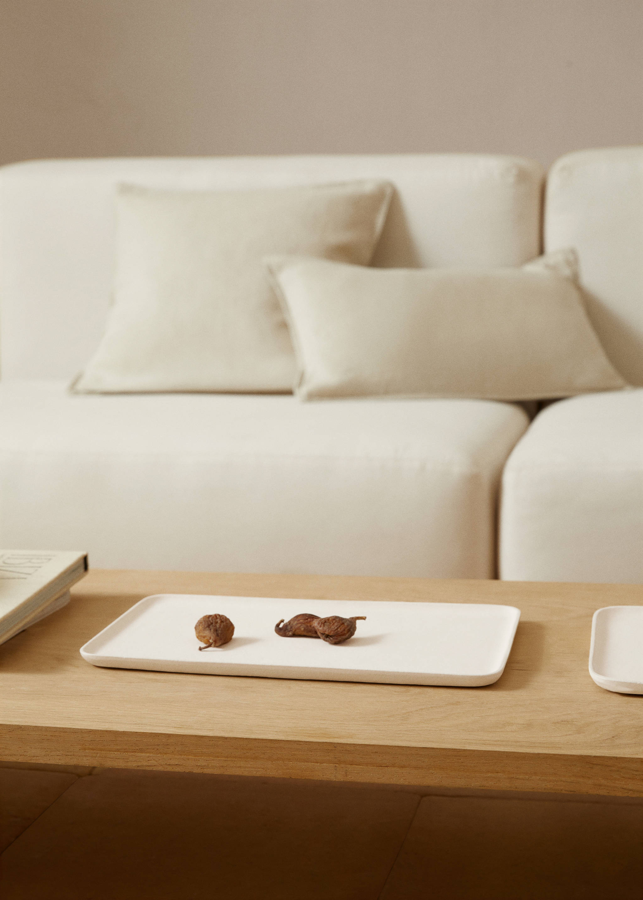 Rectangular metal tray 30x18.5cm - General plane