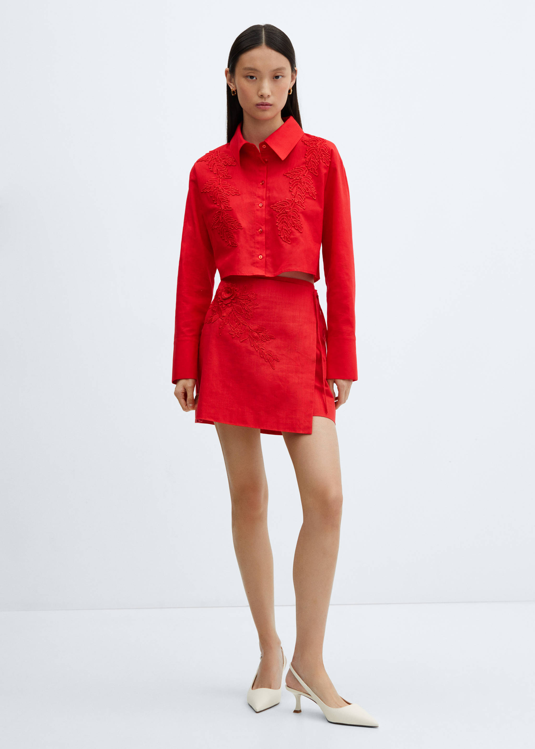 Embroidered cotton skirt - General plane