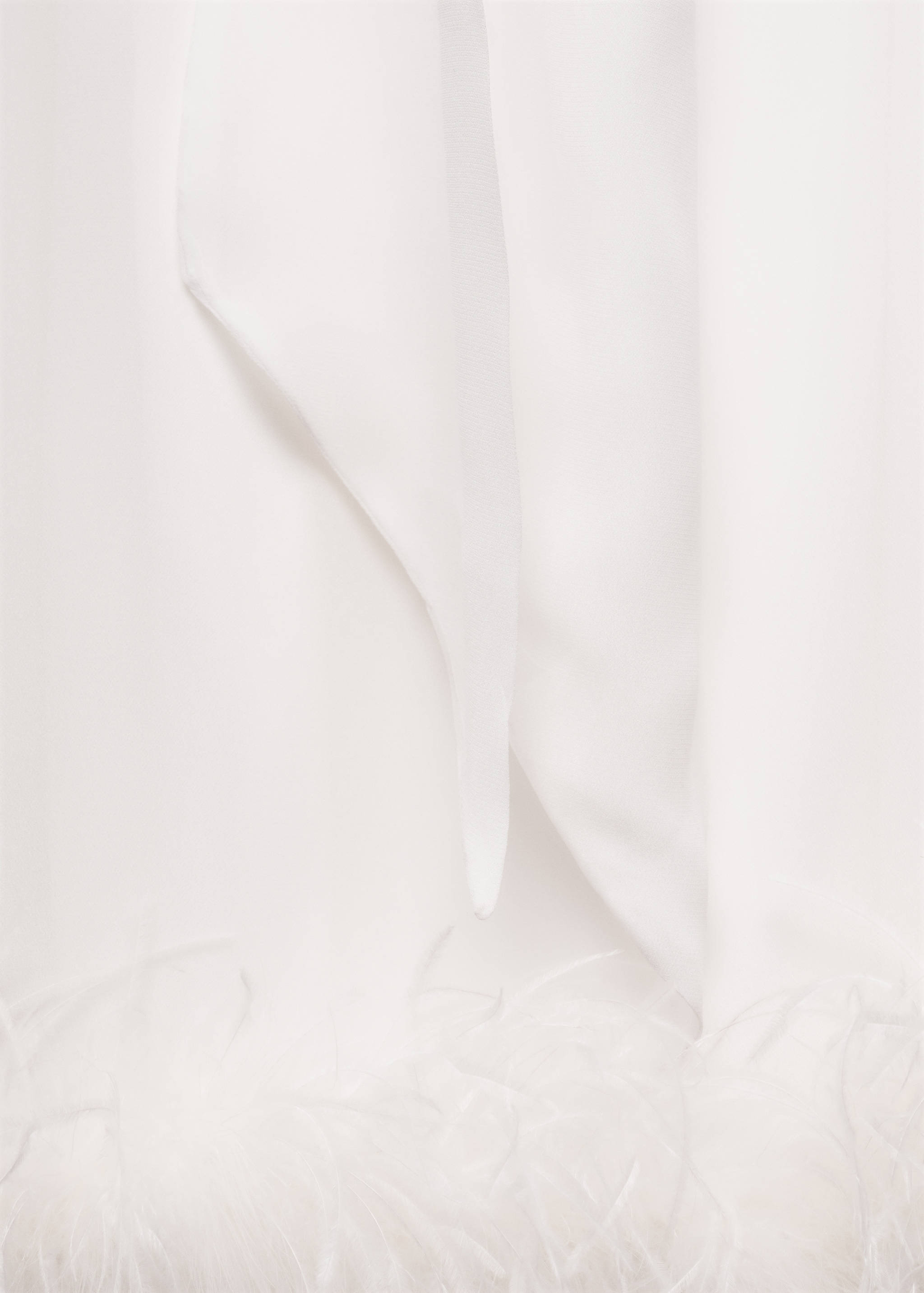 Puffed sleeve dress with feather detail - Details of the article 8