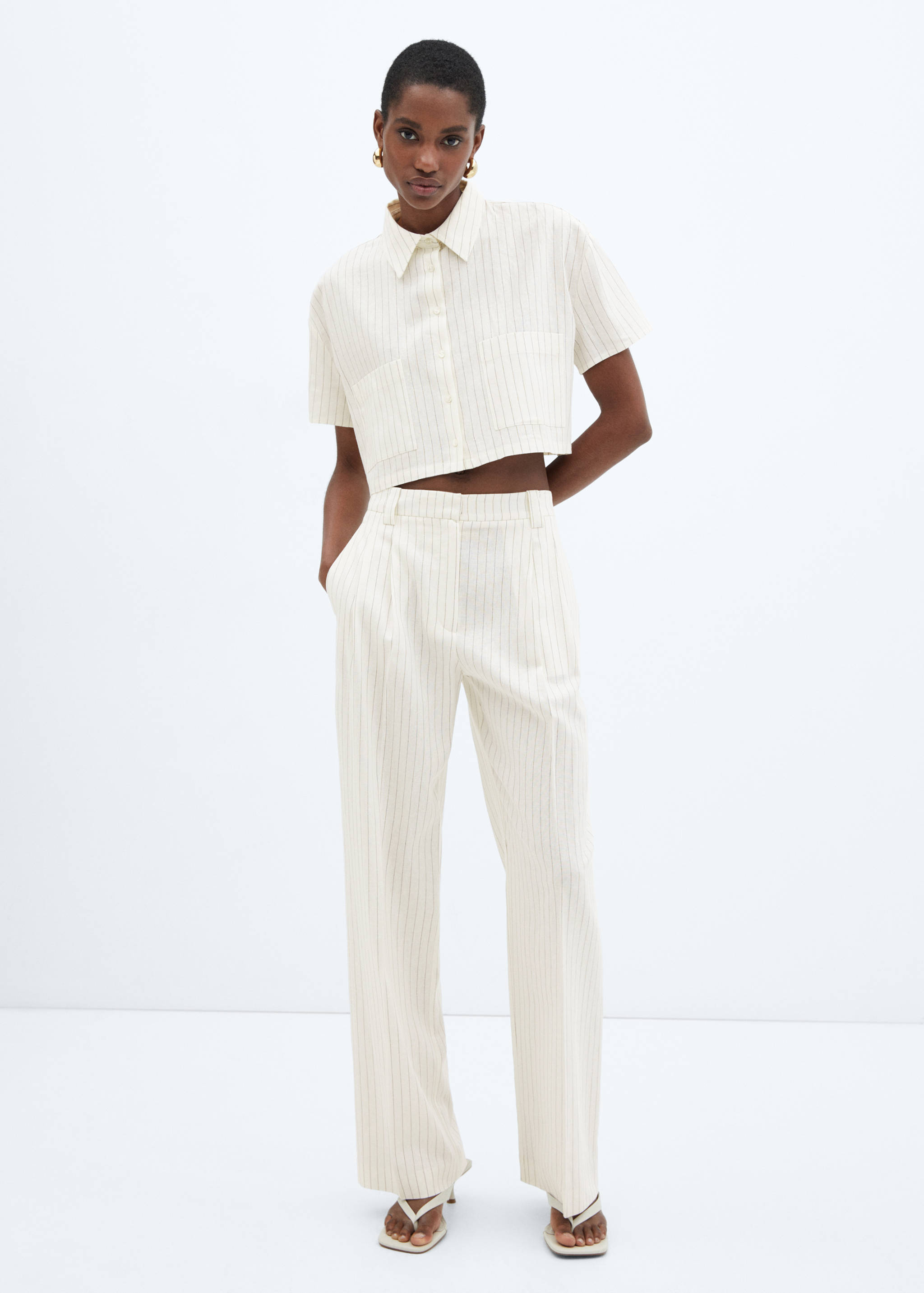 Pleated linen pants - General plane