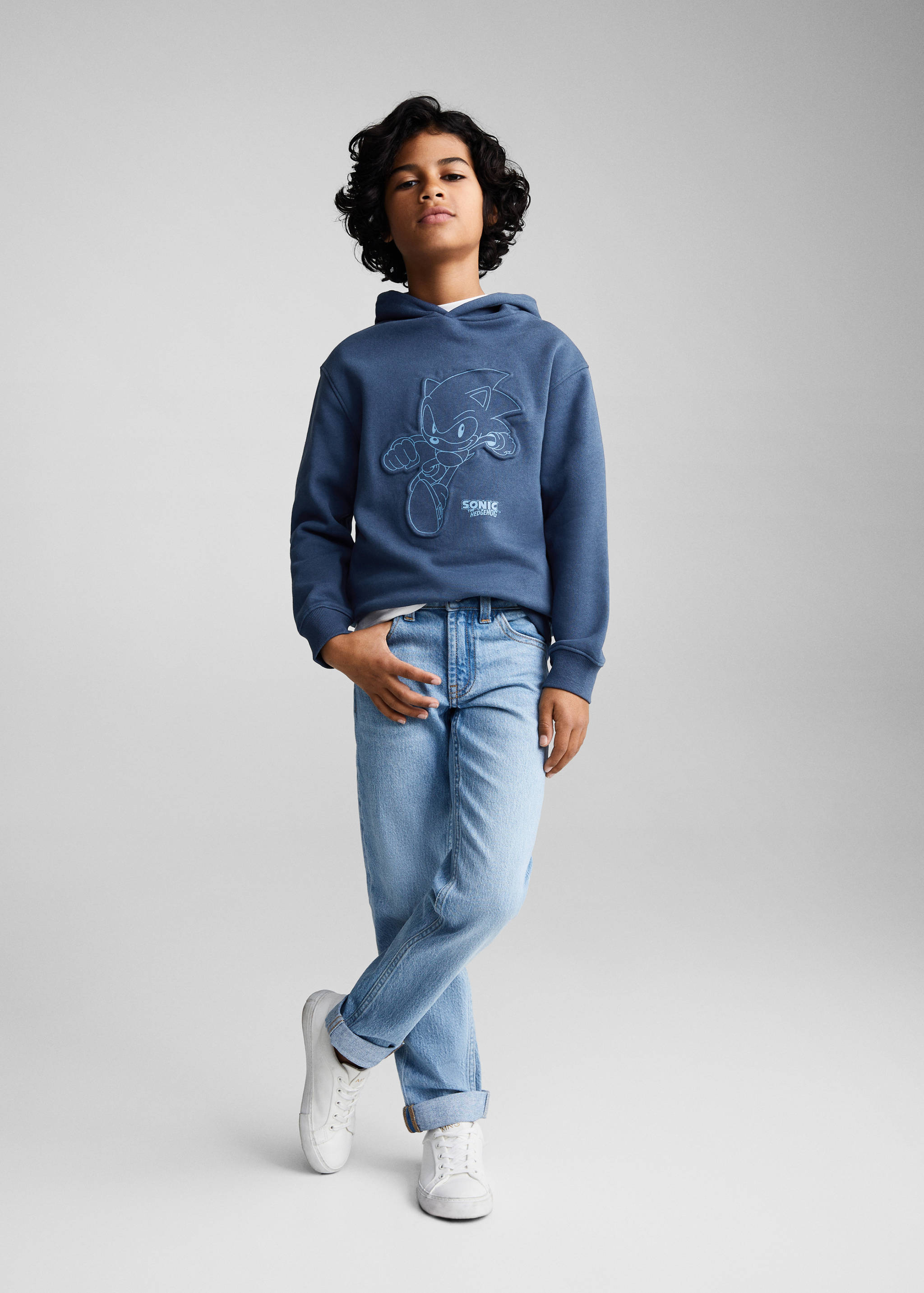 Sonic hoodie - General plane