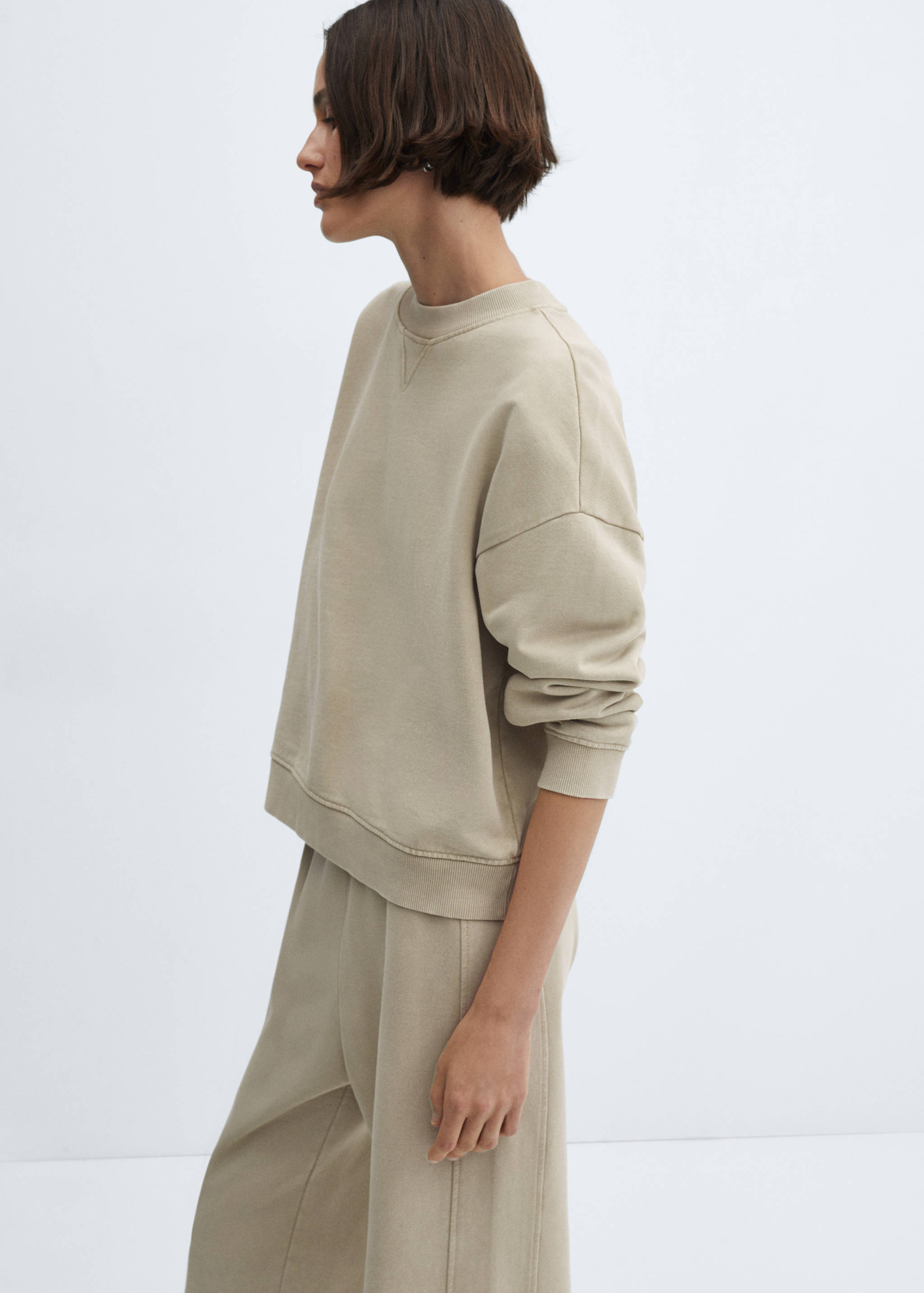 Washed round-neck sweatshirt - Medium plane