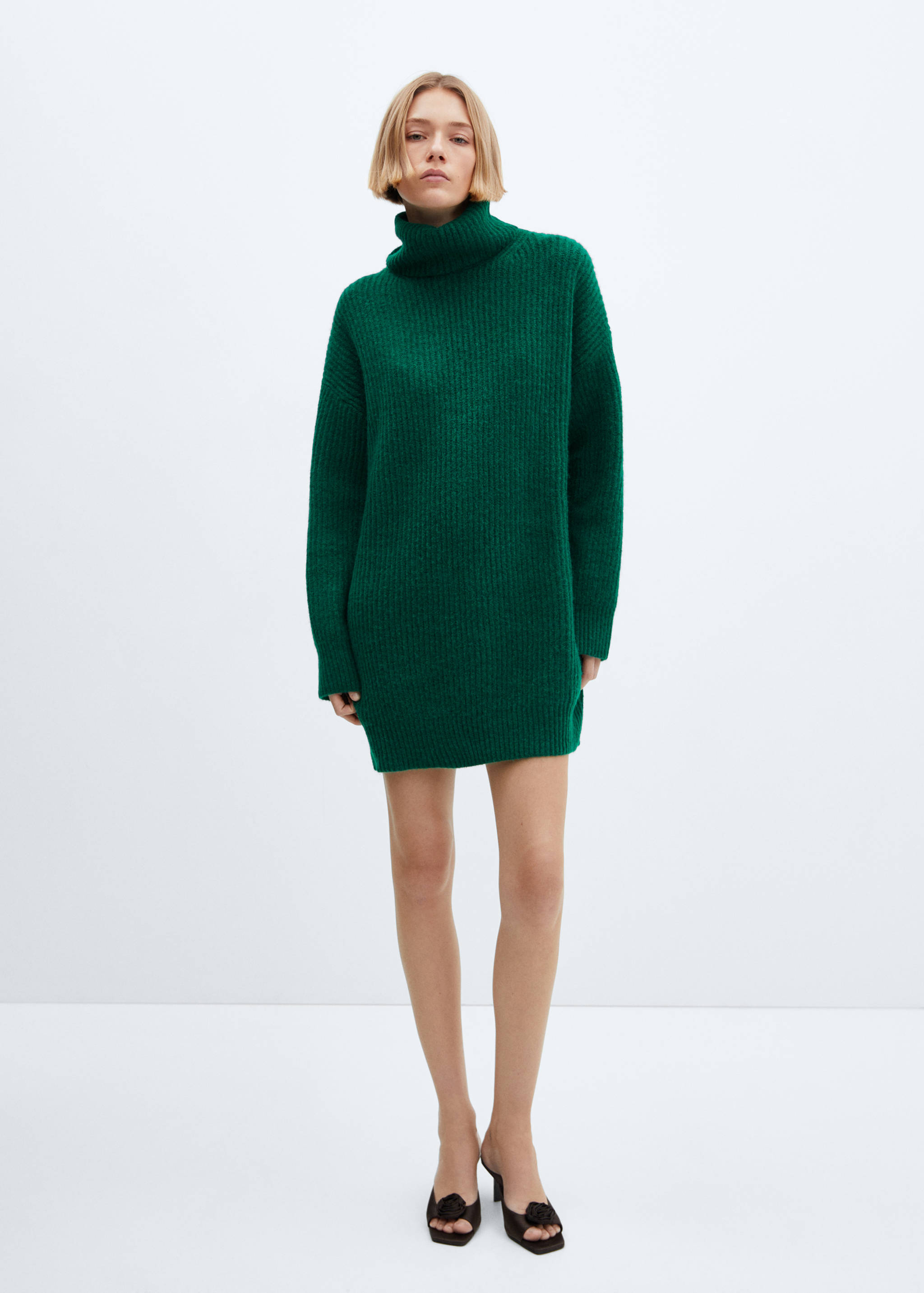 Ribbed turtleneck dress - General plane