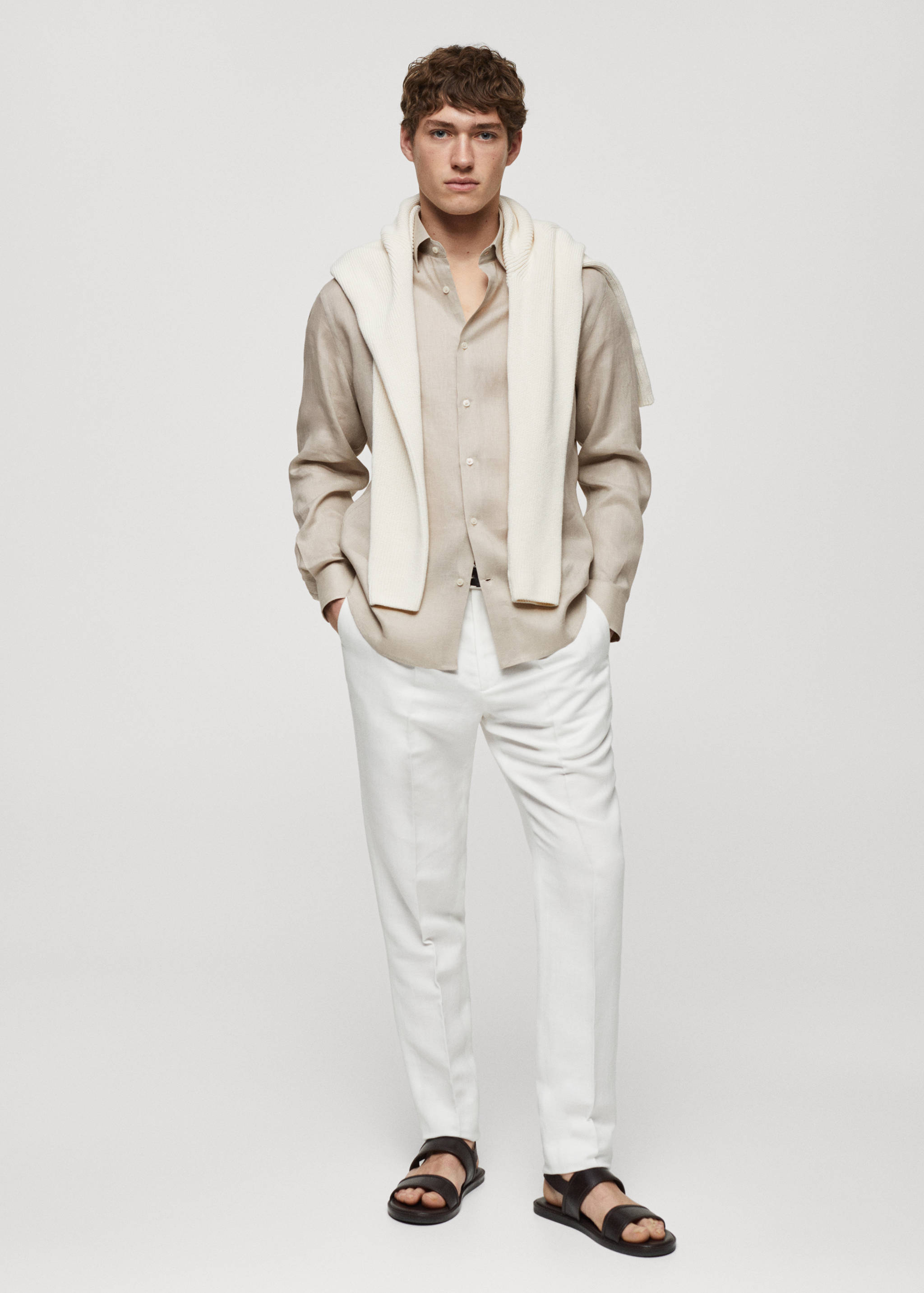 Regular-fit 100% linen shirt - General plane