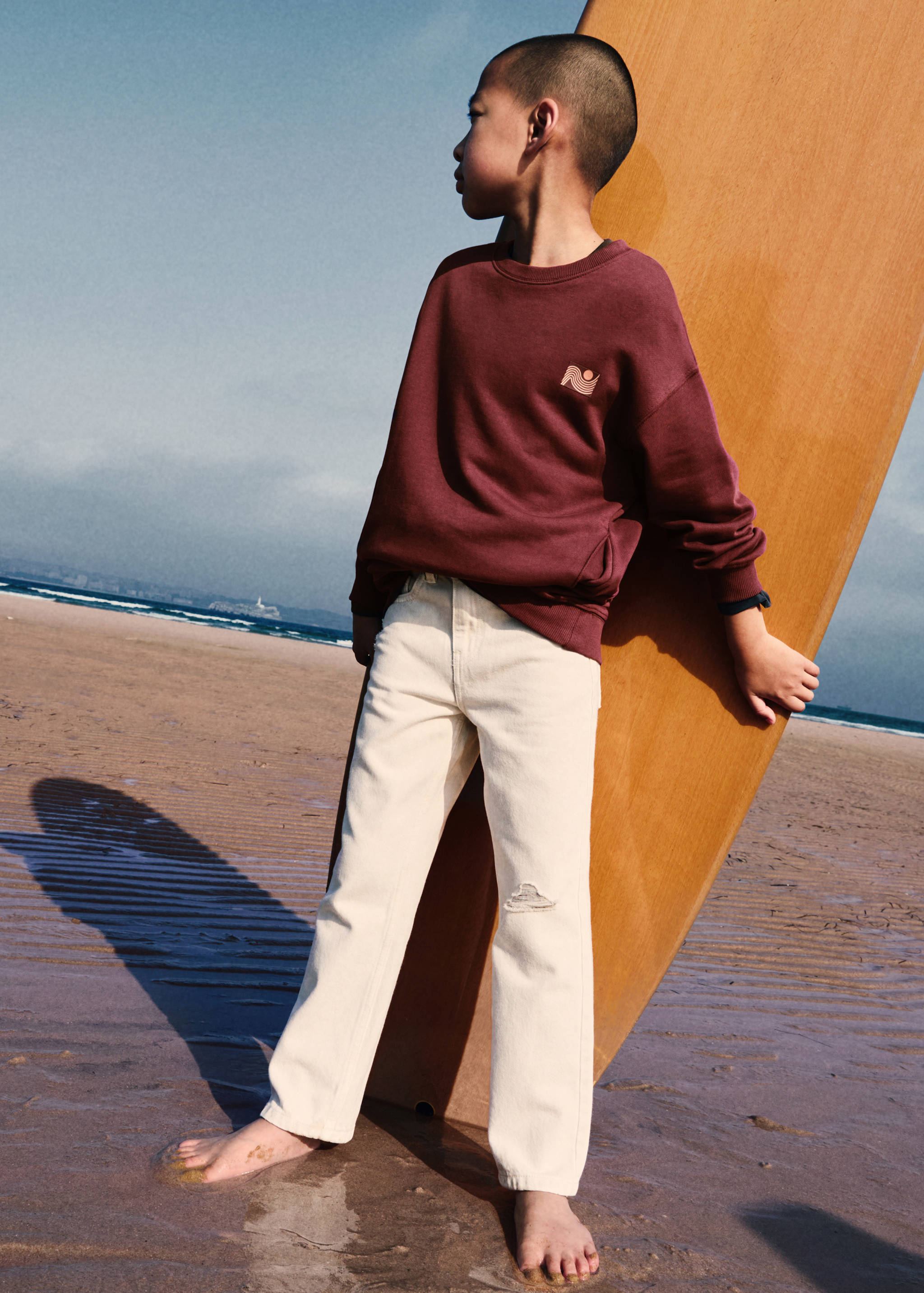 Printed cotton sweatshirt - General plane