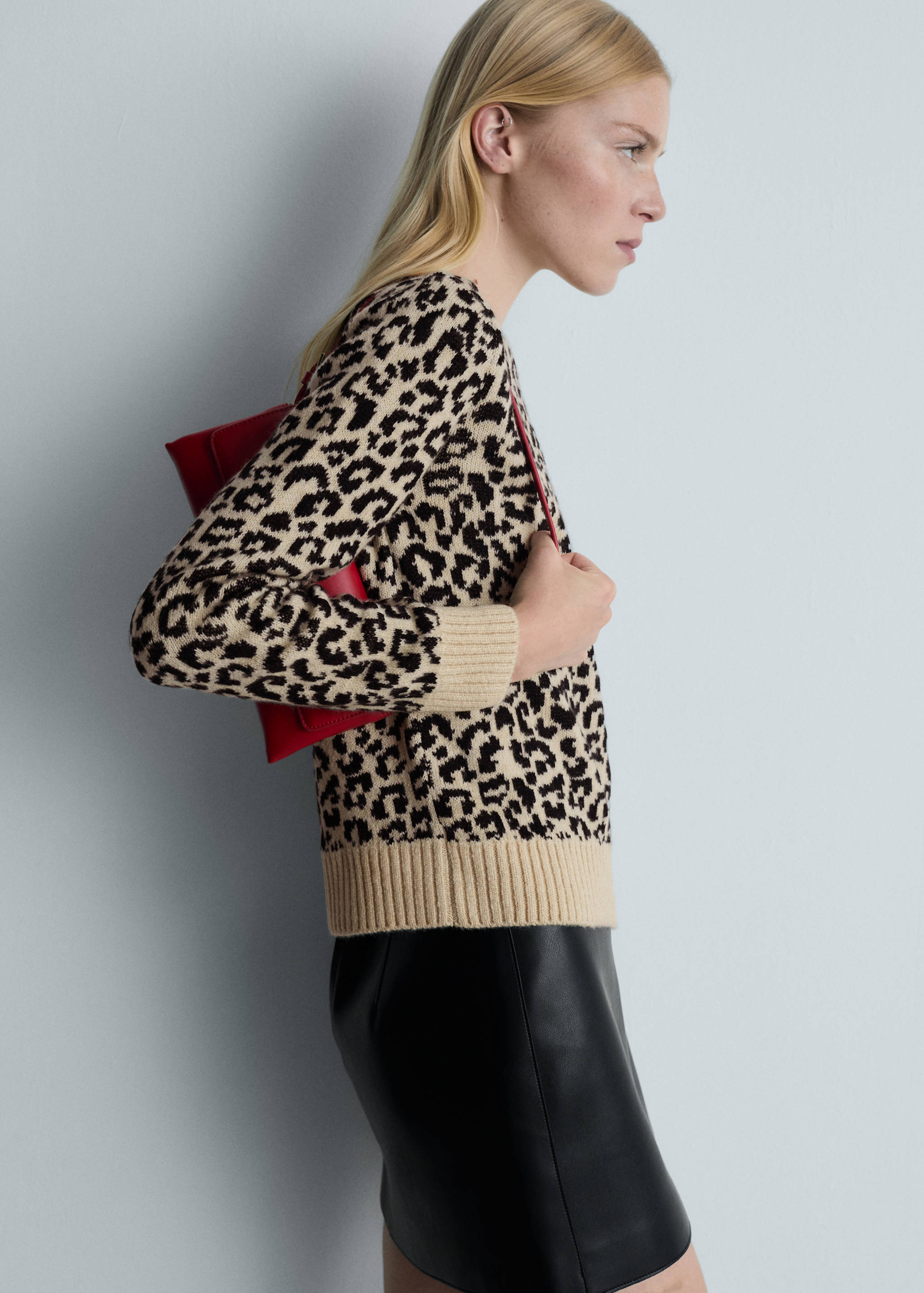 Leopard-print sweater with contrasting trims - Medium plane