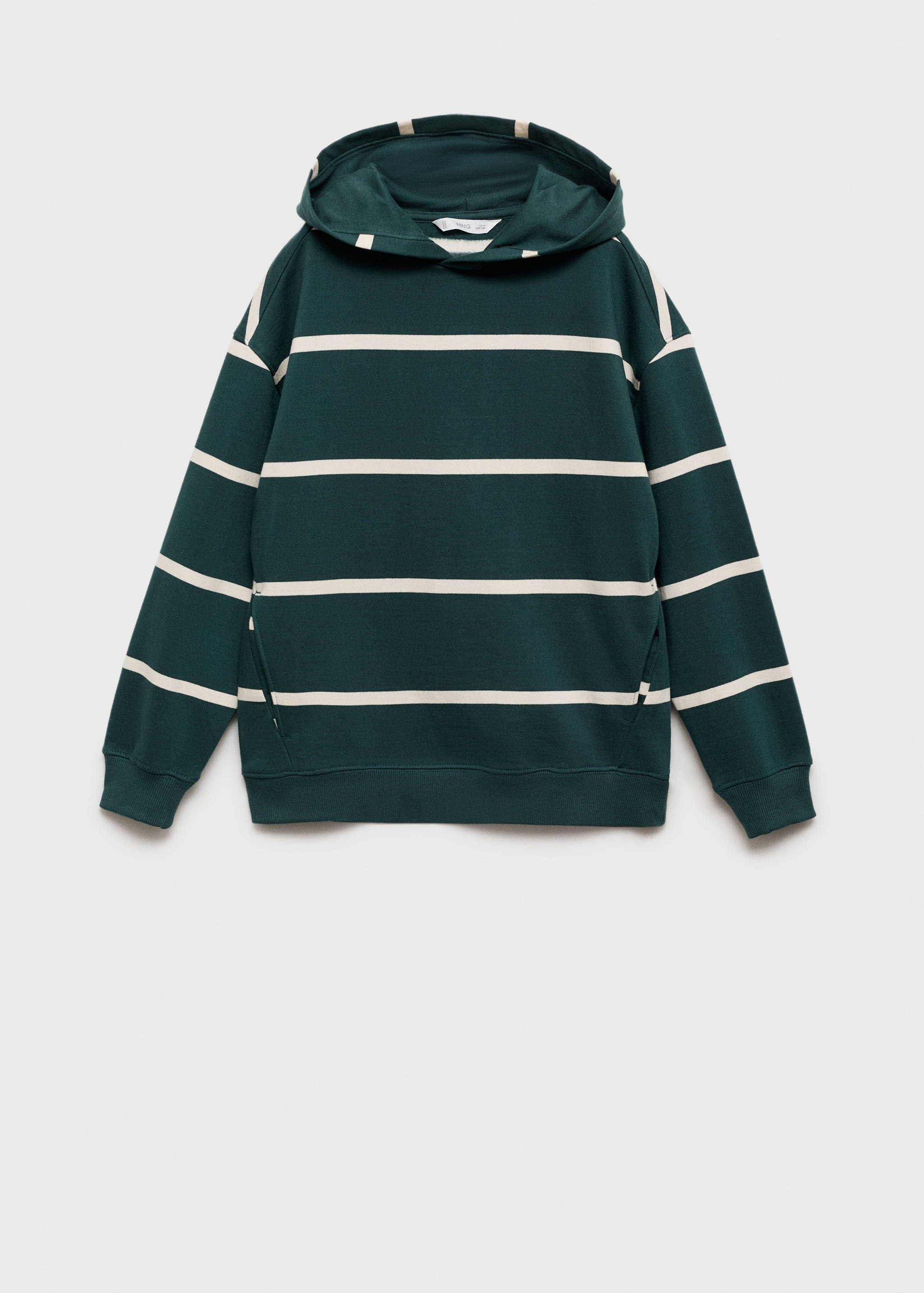 Striped hooded sweatshirt - Article without model