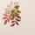 Colour Medium Brown selected