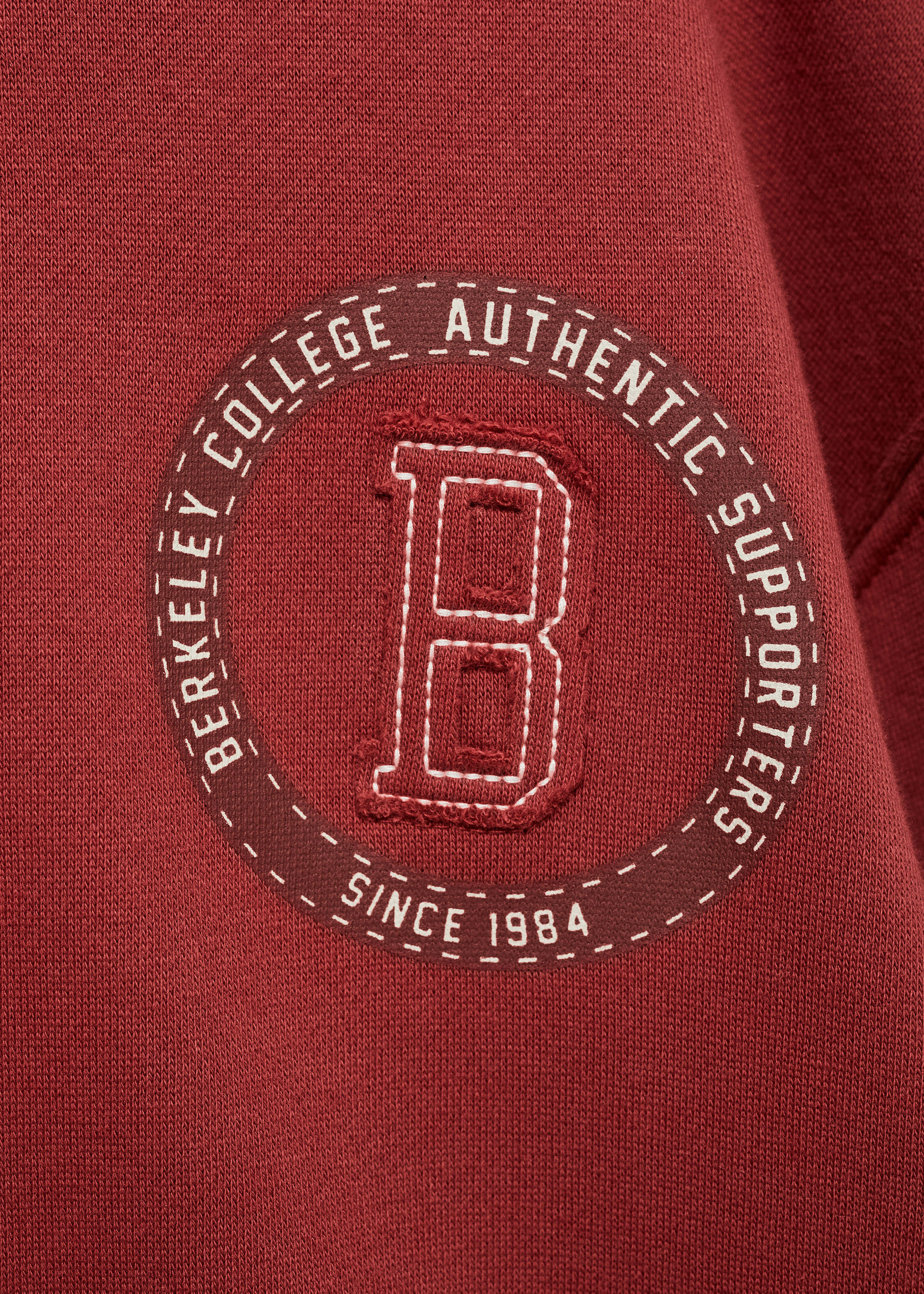 Embroidered detail cotton sweatshirt - Details of the article 8