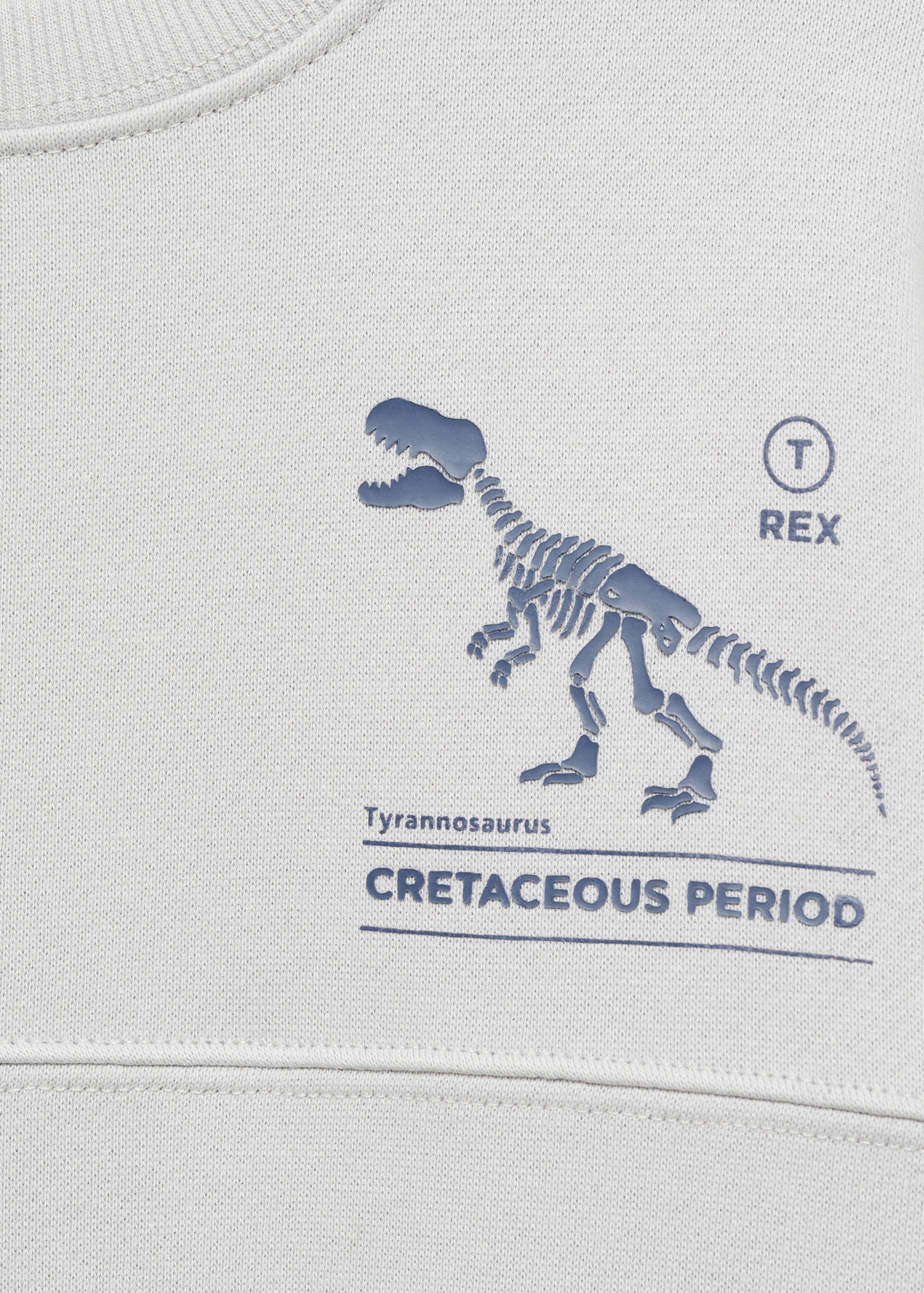 Sweater katun dengan motif cetak - Rincian barang 8