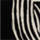 Color Black selected