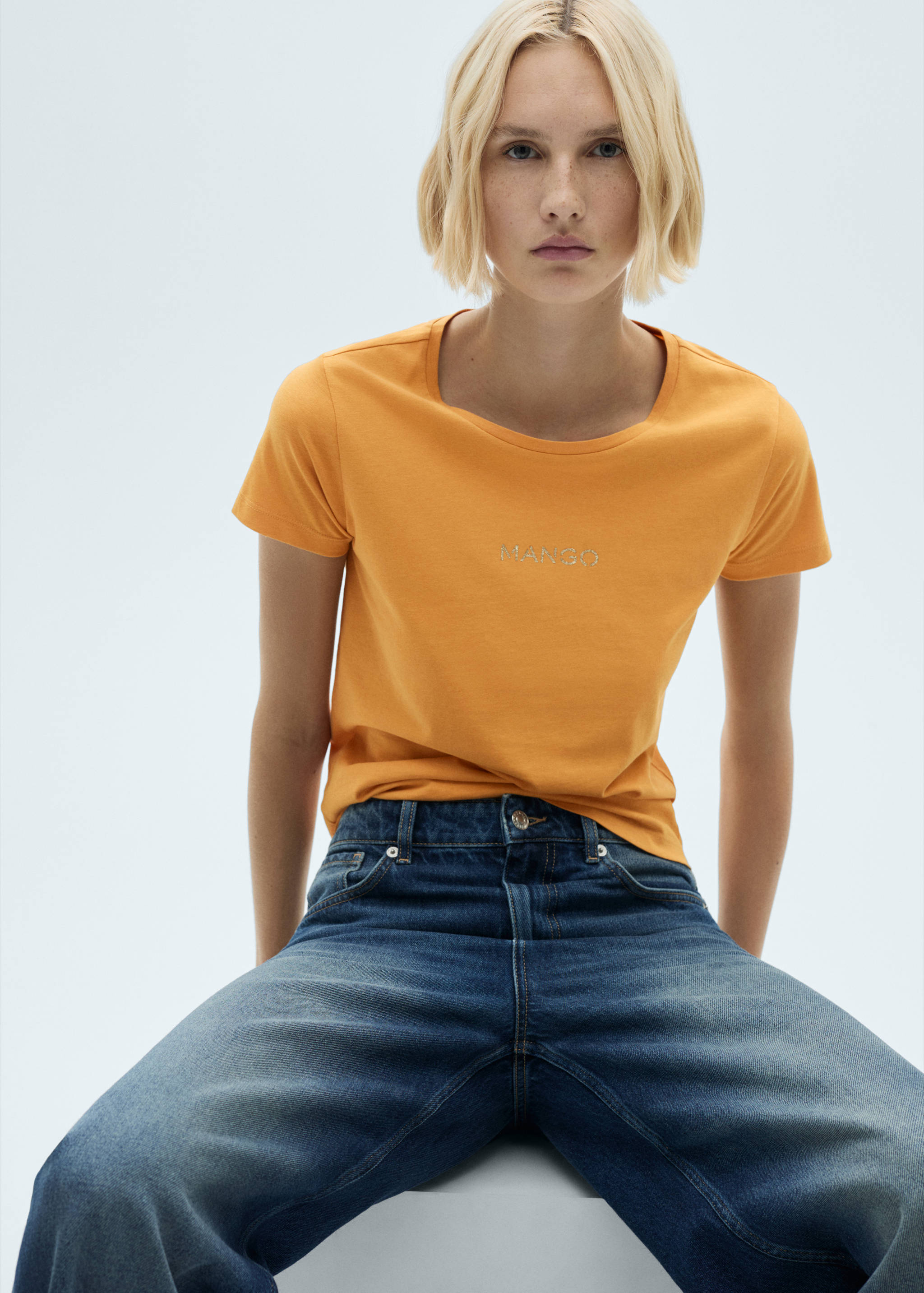 Logo cotton T-shirt - Medium plane