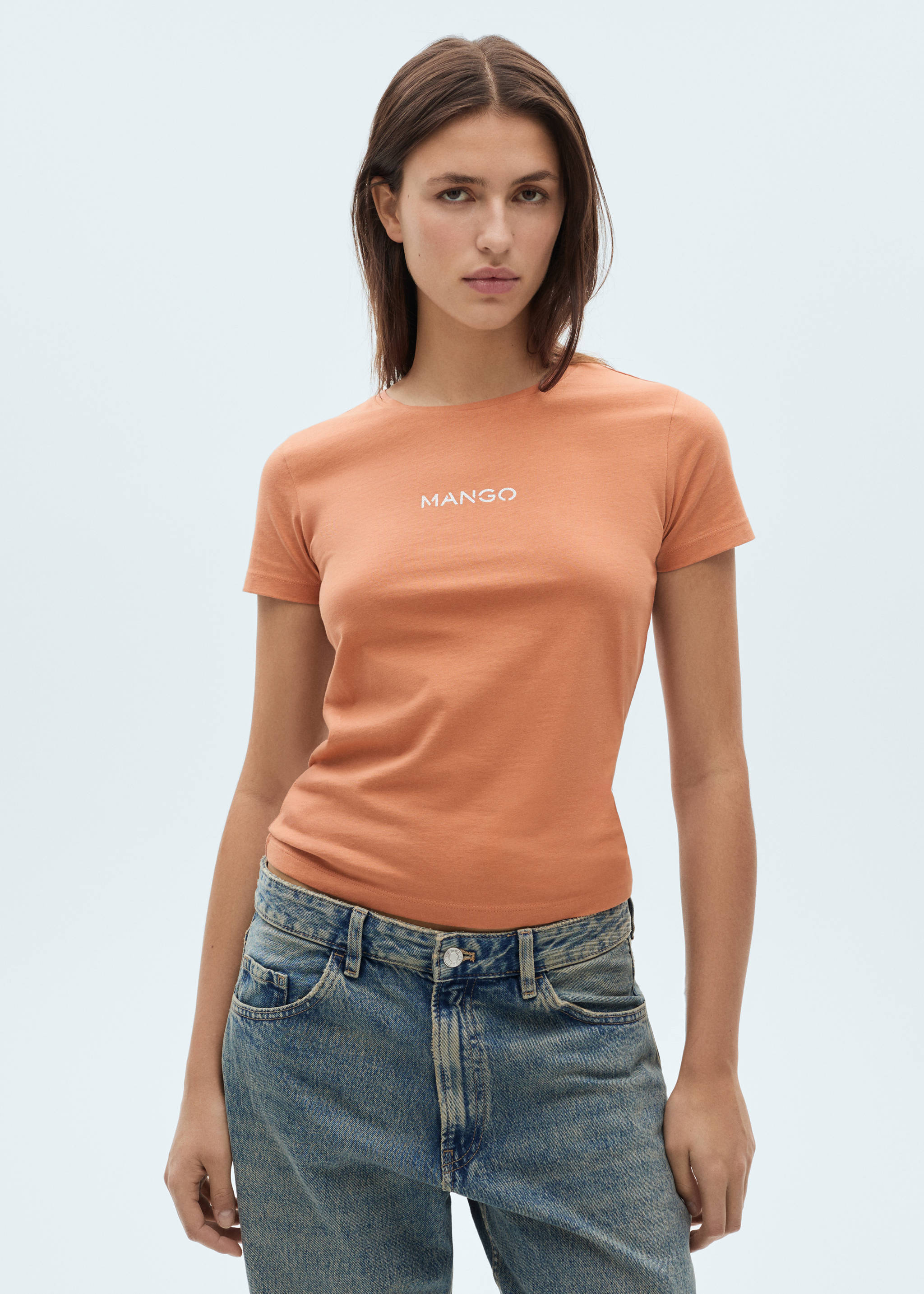 Logo cotton T-shirt - Medium plane