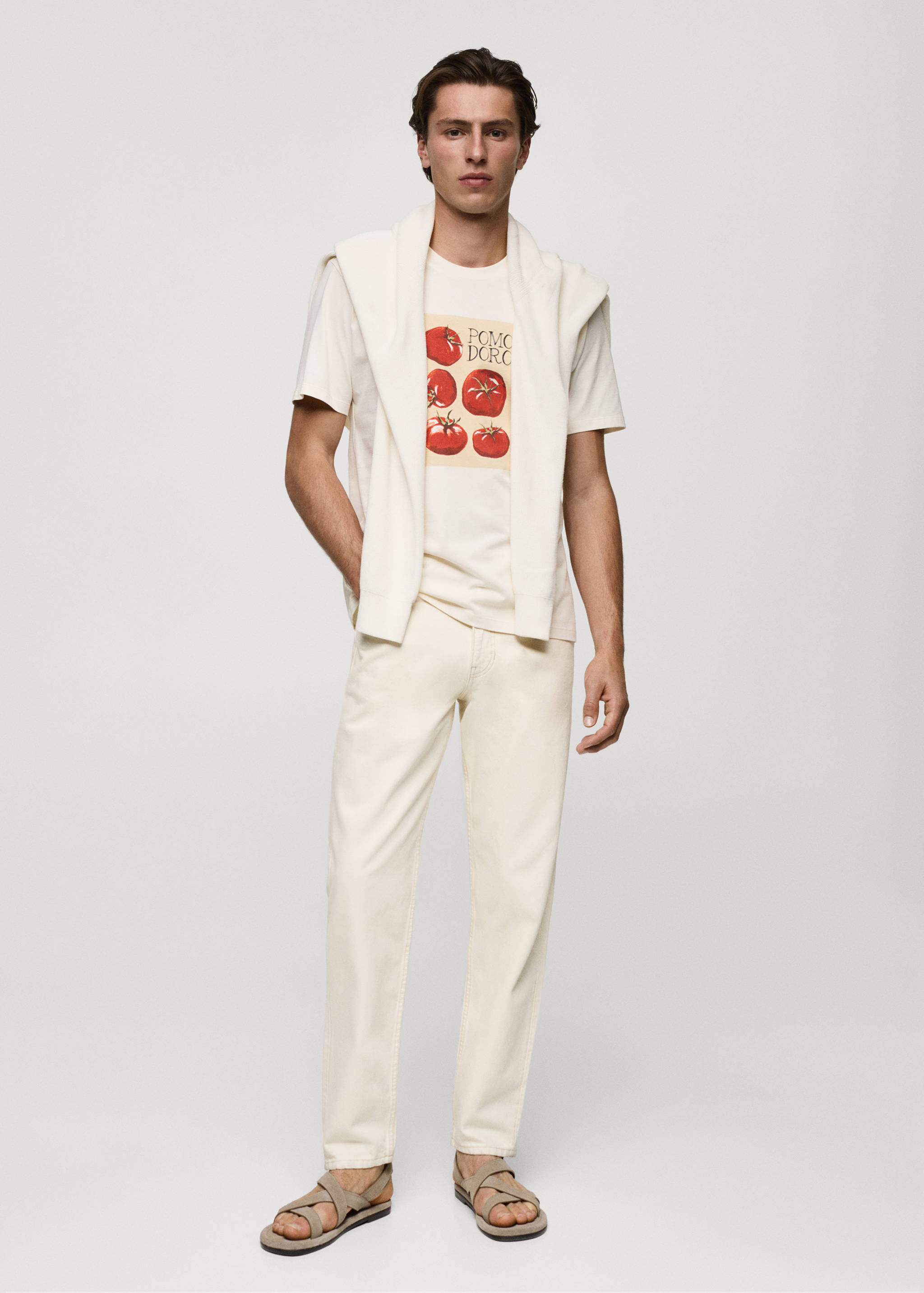 Regular fit printed cotton t-shirt - General plane