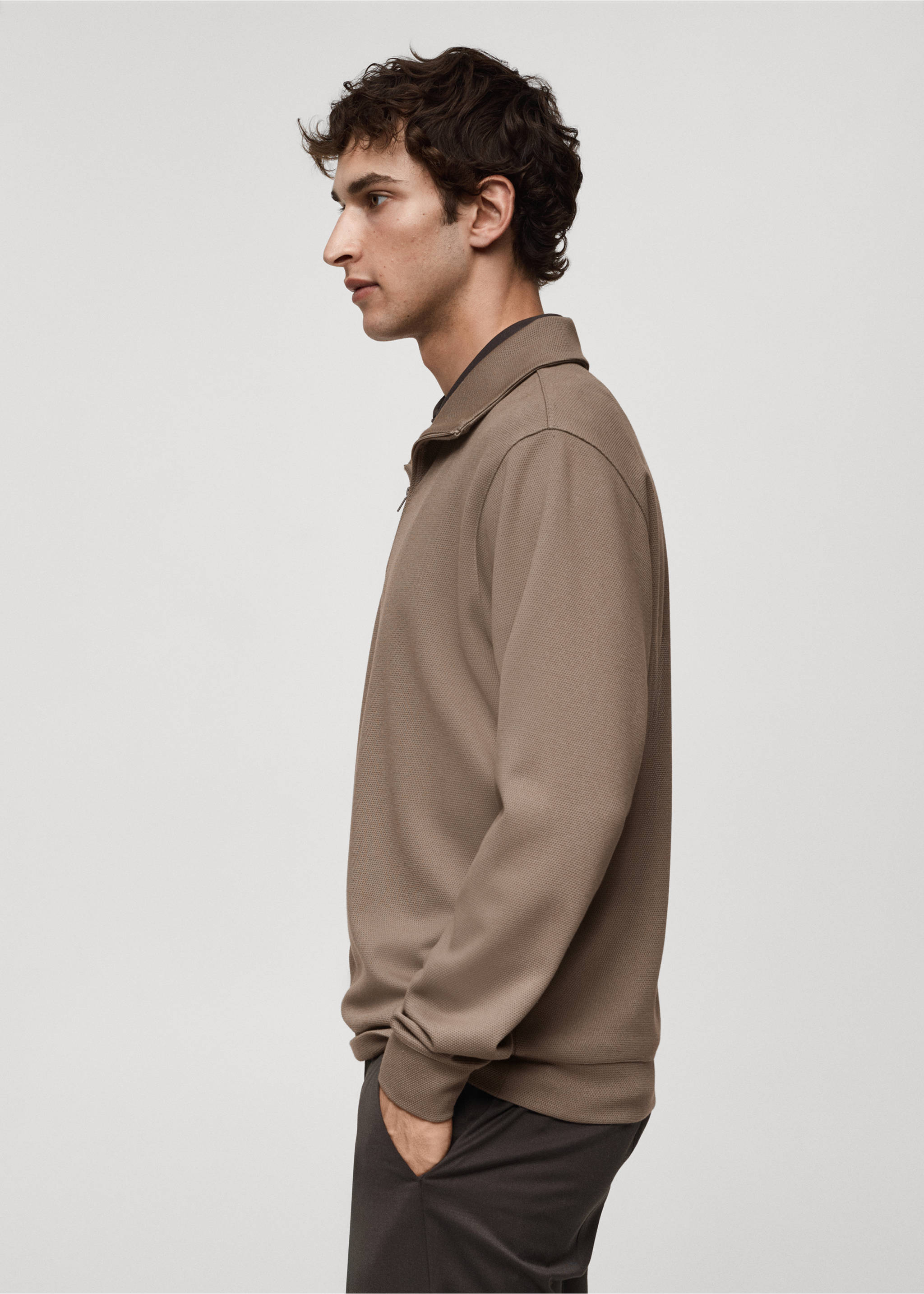 Taupe zip-collar sweatshirt with long sleeves and ribbed trims., Mink Grey. Ref: 77025969-00.