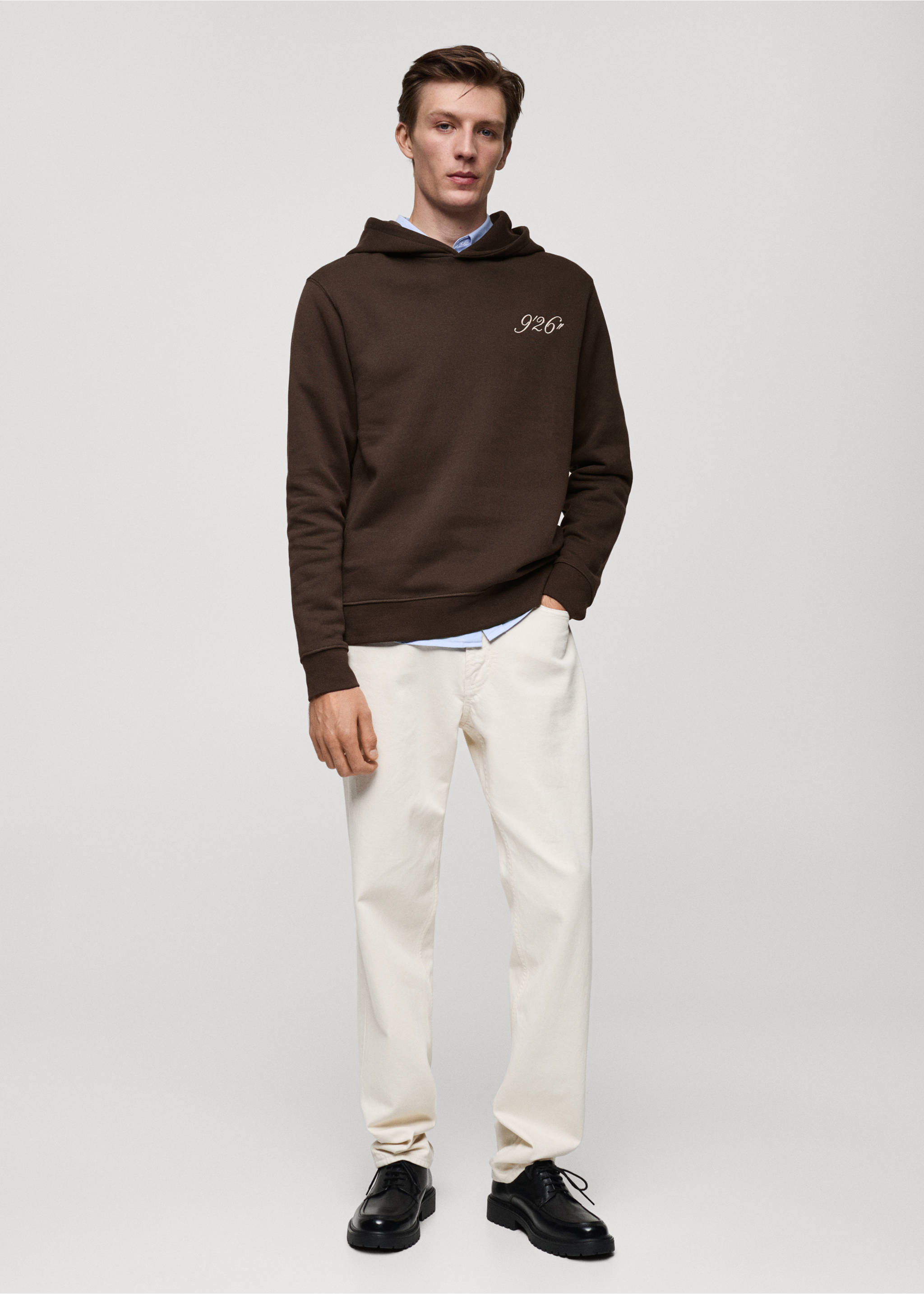Embroidered hoodie - General plane, Chocolate. Ref: 77025976-00.