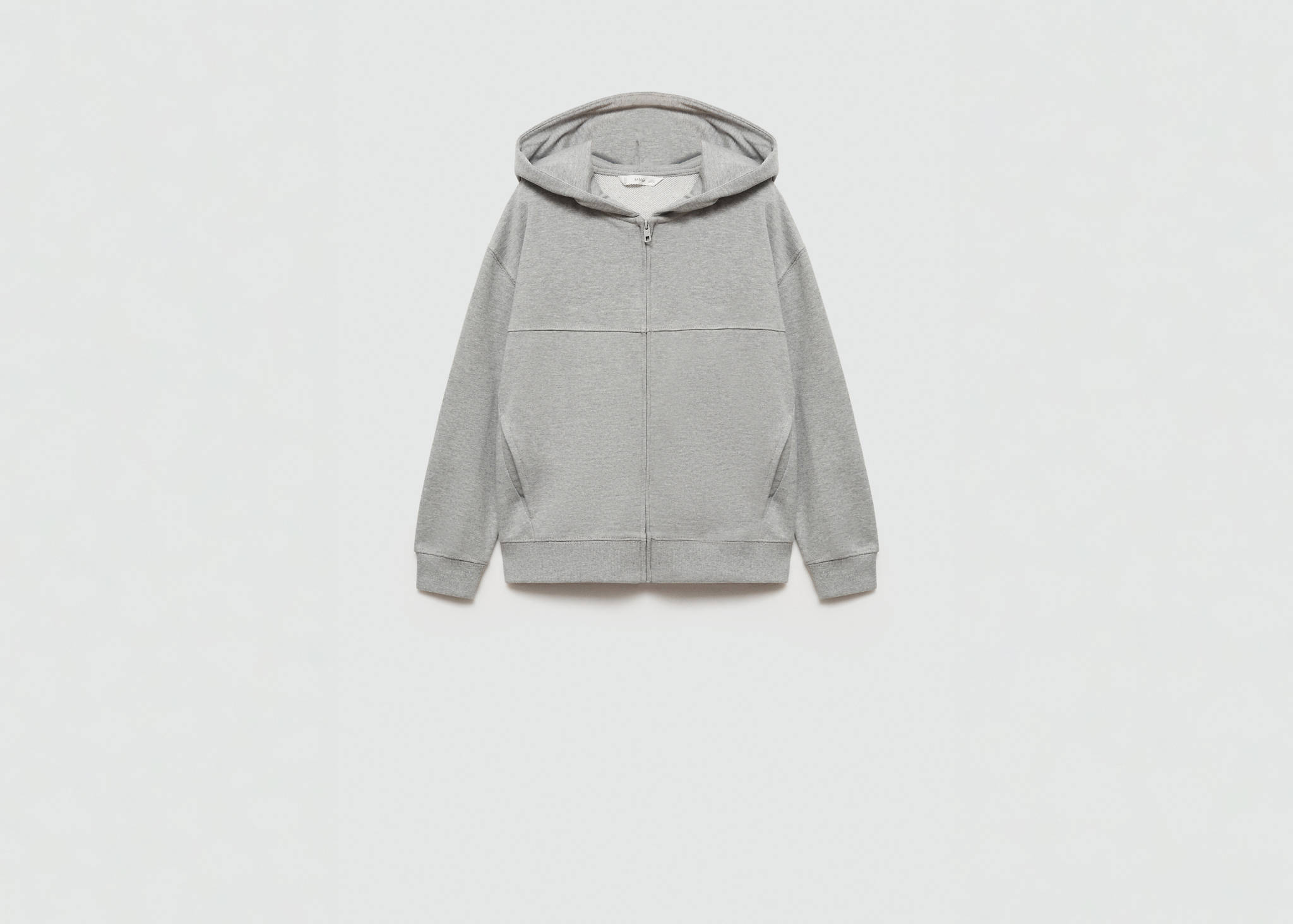 Zipped hoodie - Panoramic plane