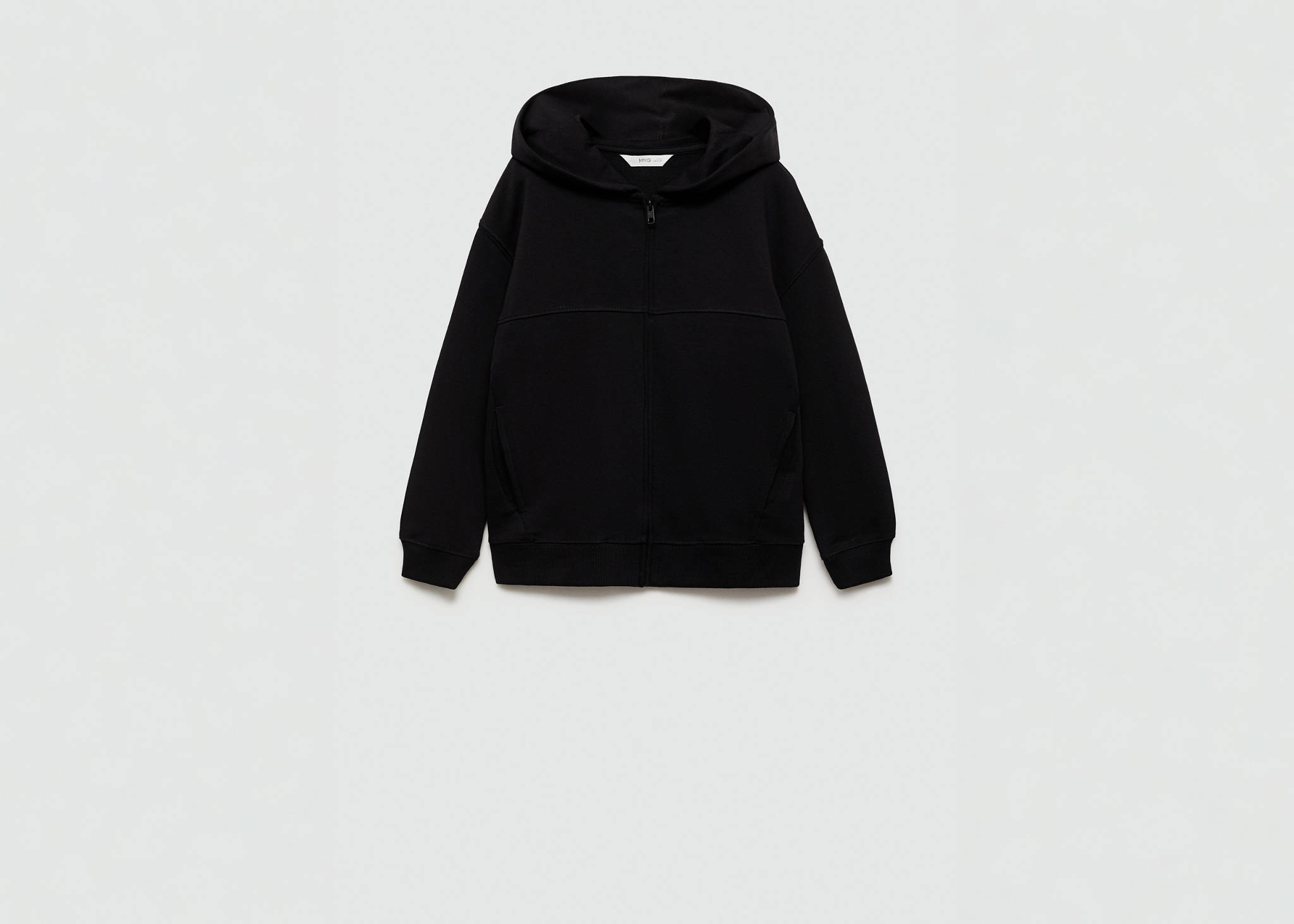 Zipped hoodie - Panoramic plane