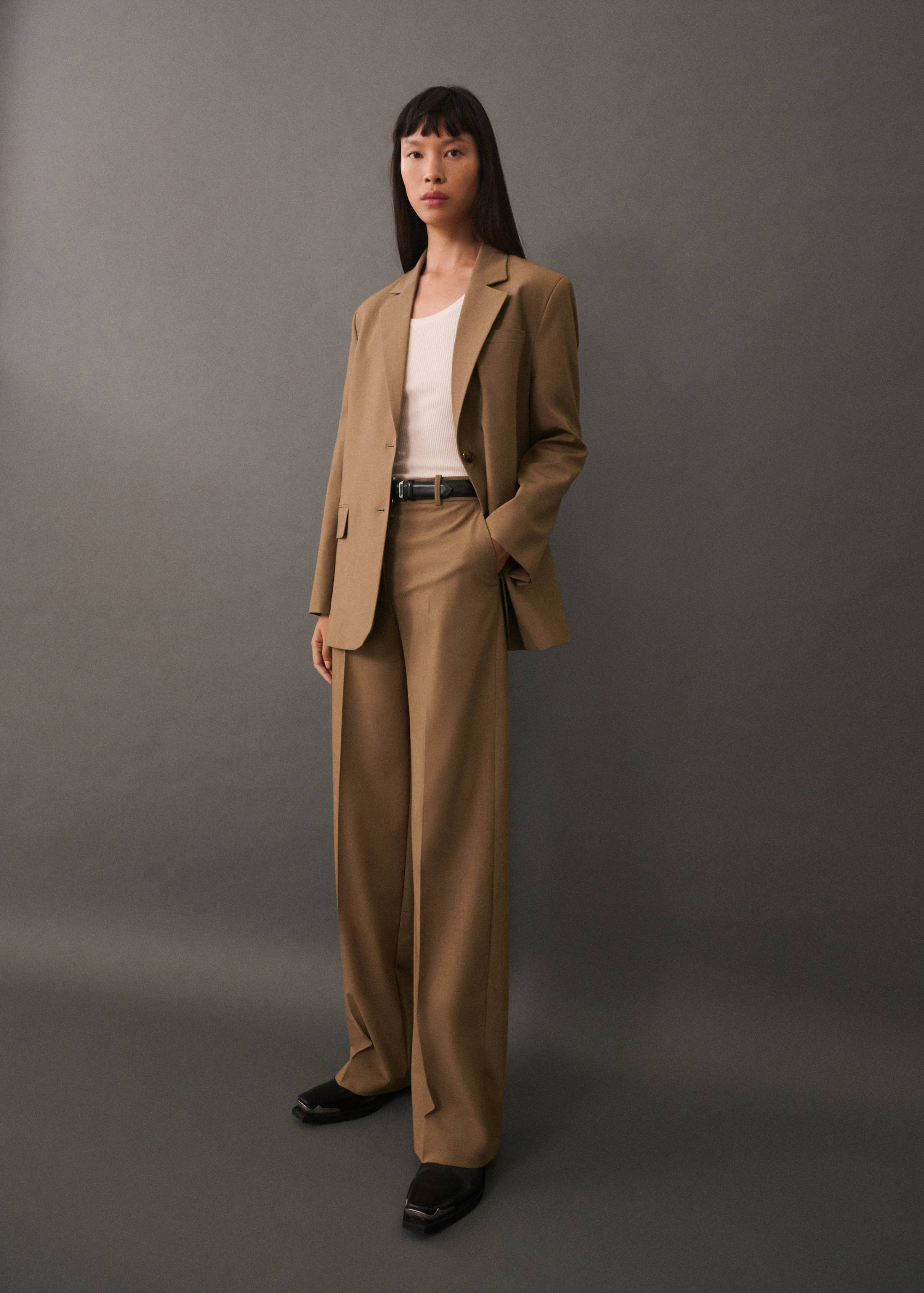 Pleated suit pants - General plane