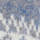 Color Blue selected