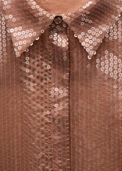 Semi-transparent sequined shirt — Brown 16
