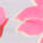 Color Pink selected