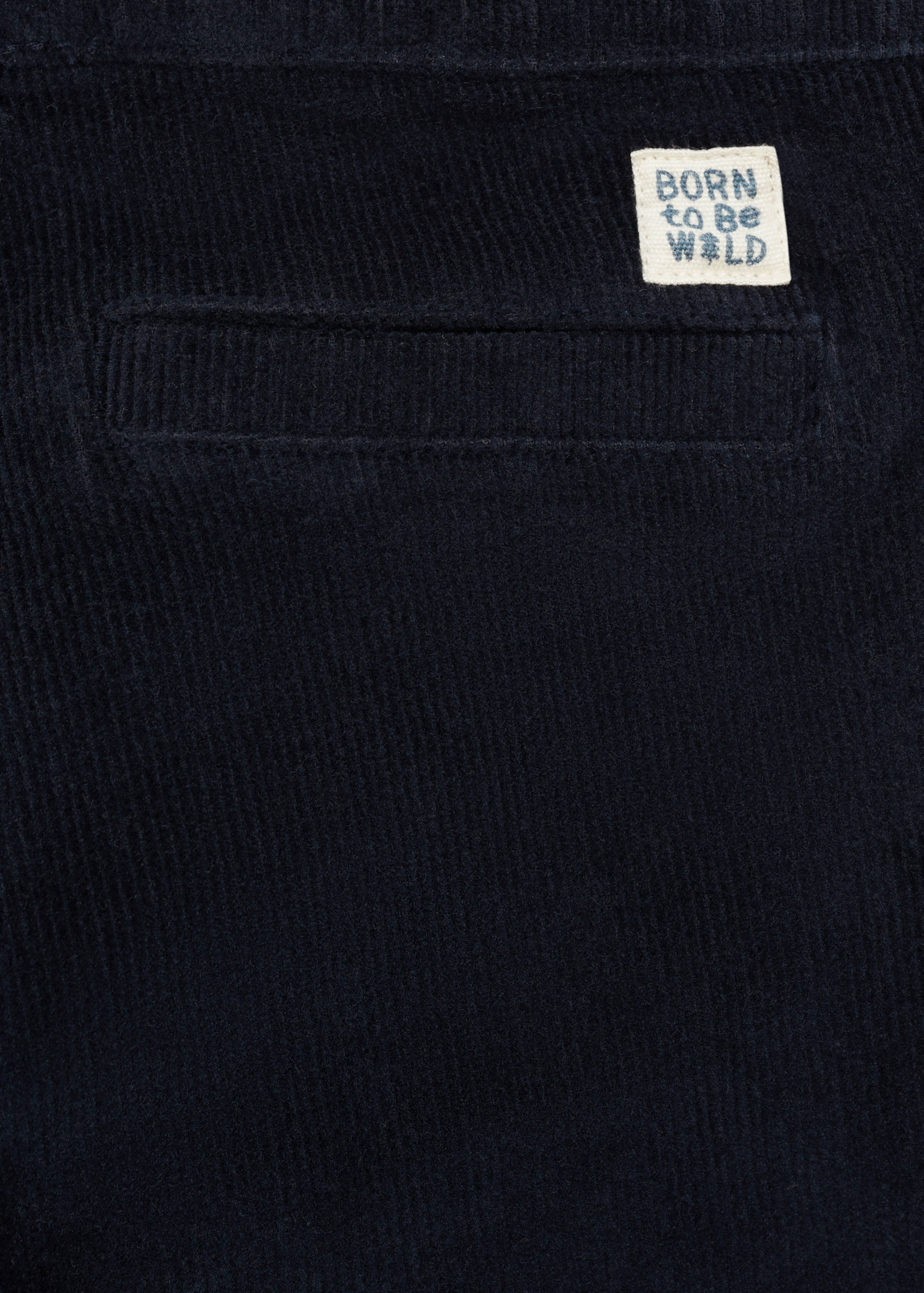 Lined corduroy pants - Details of the article 0