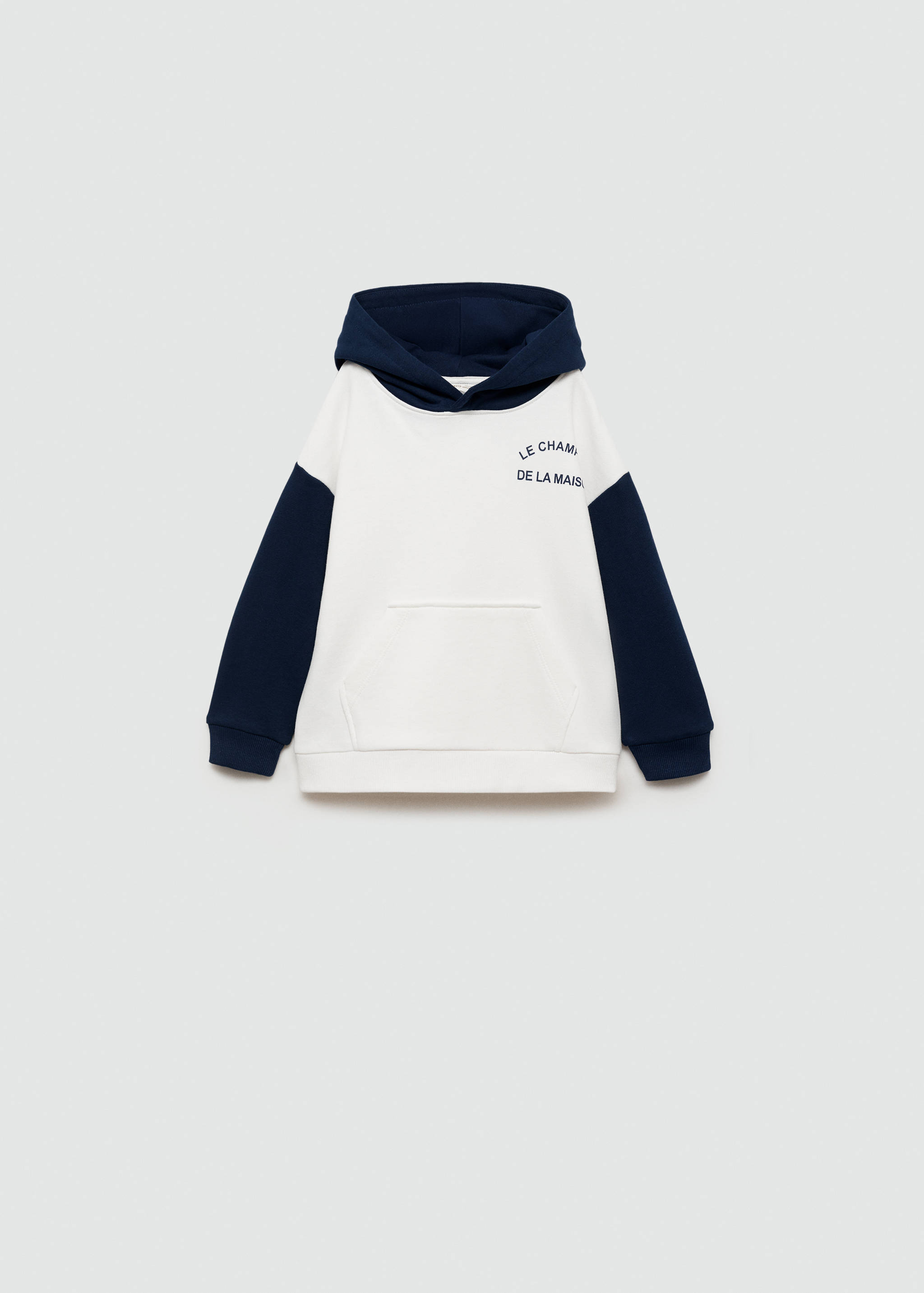 Printed cotton sweatshirt - Article without model