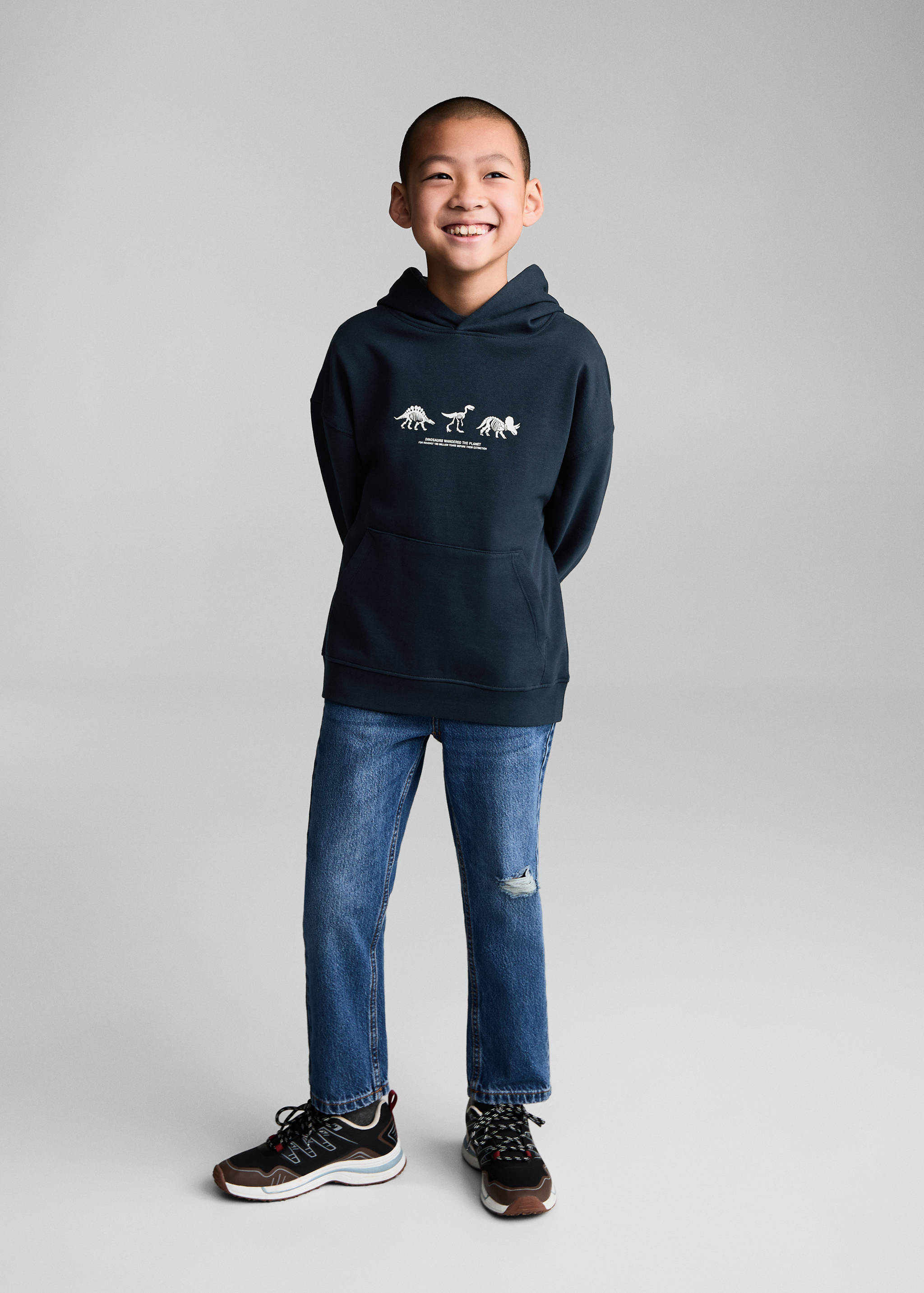 Dinosaur print hoodie - General plane