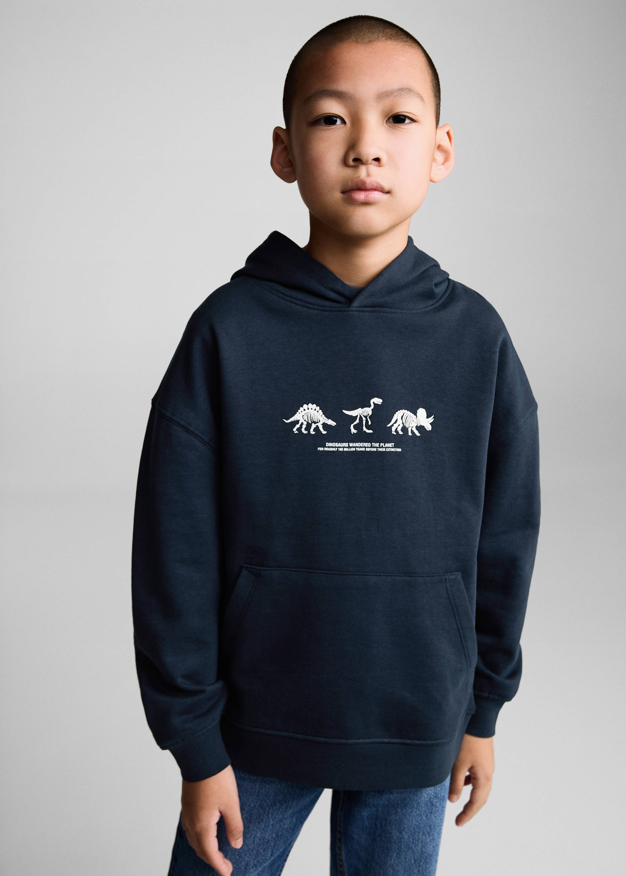 Dinosaur print hoodie - Medium plane