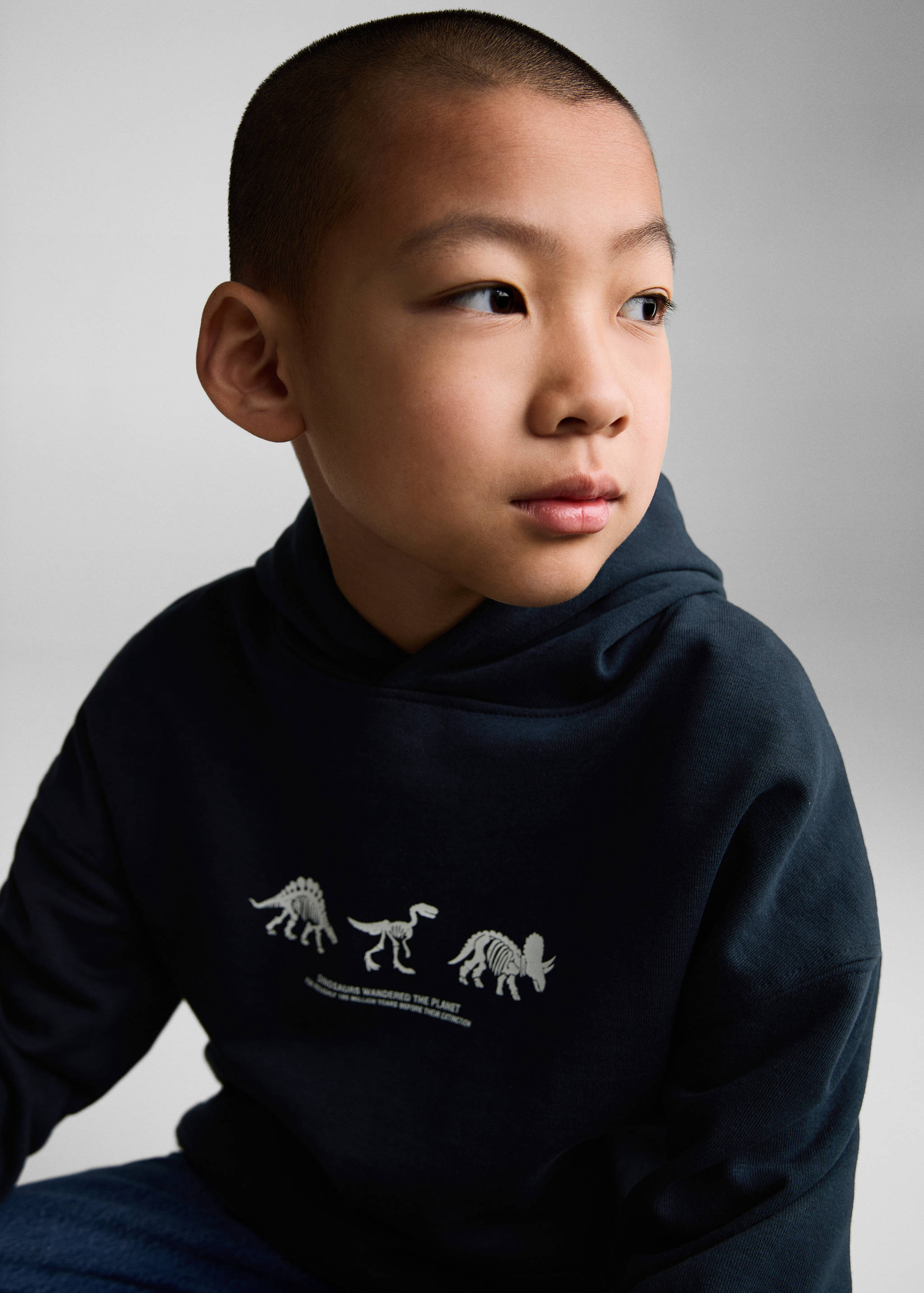 Dinosaur print hoodie - Details of the article 1