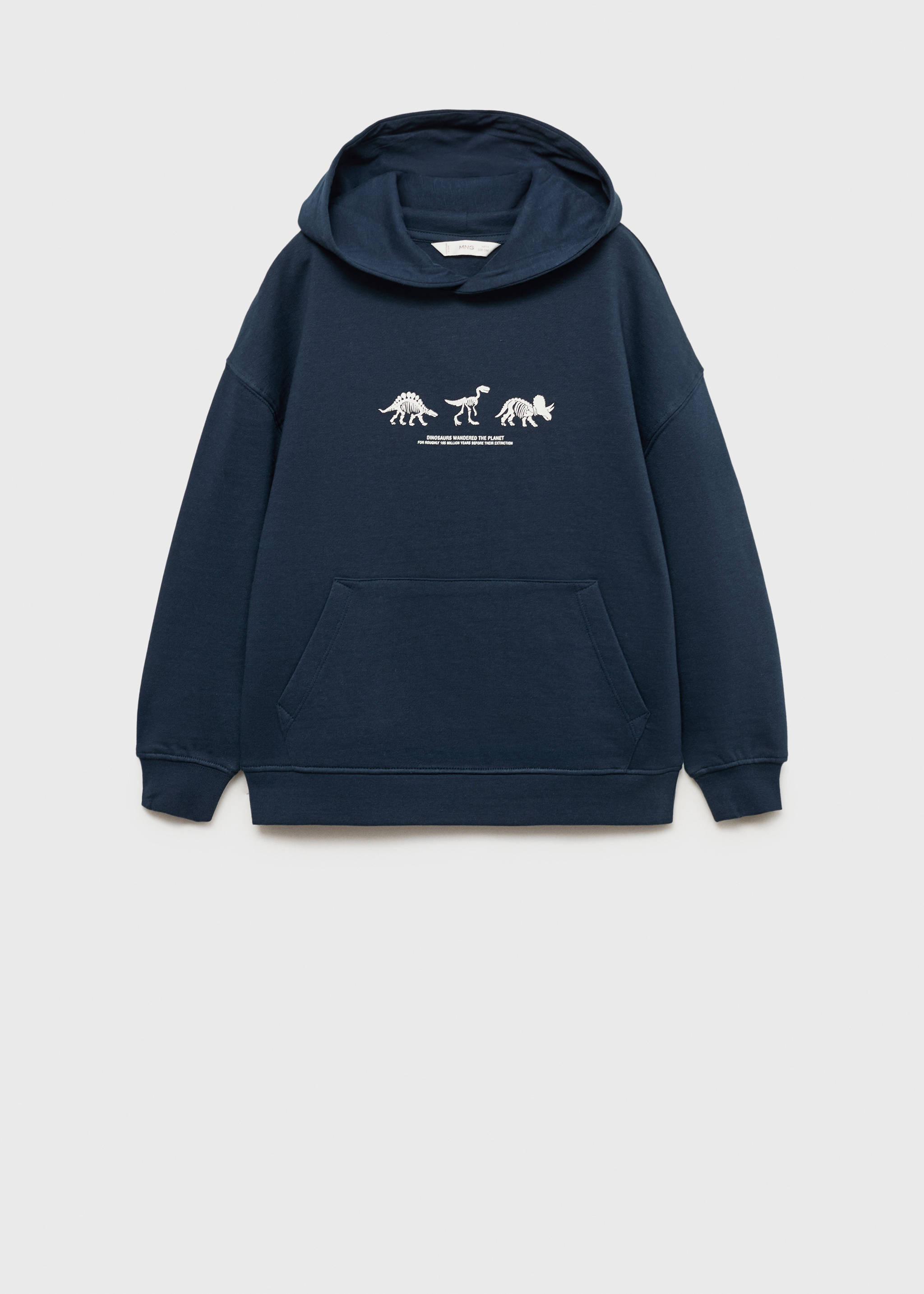 Dinosaur print hoodie - Article without model