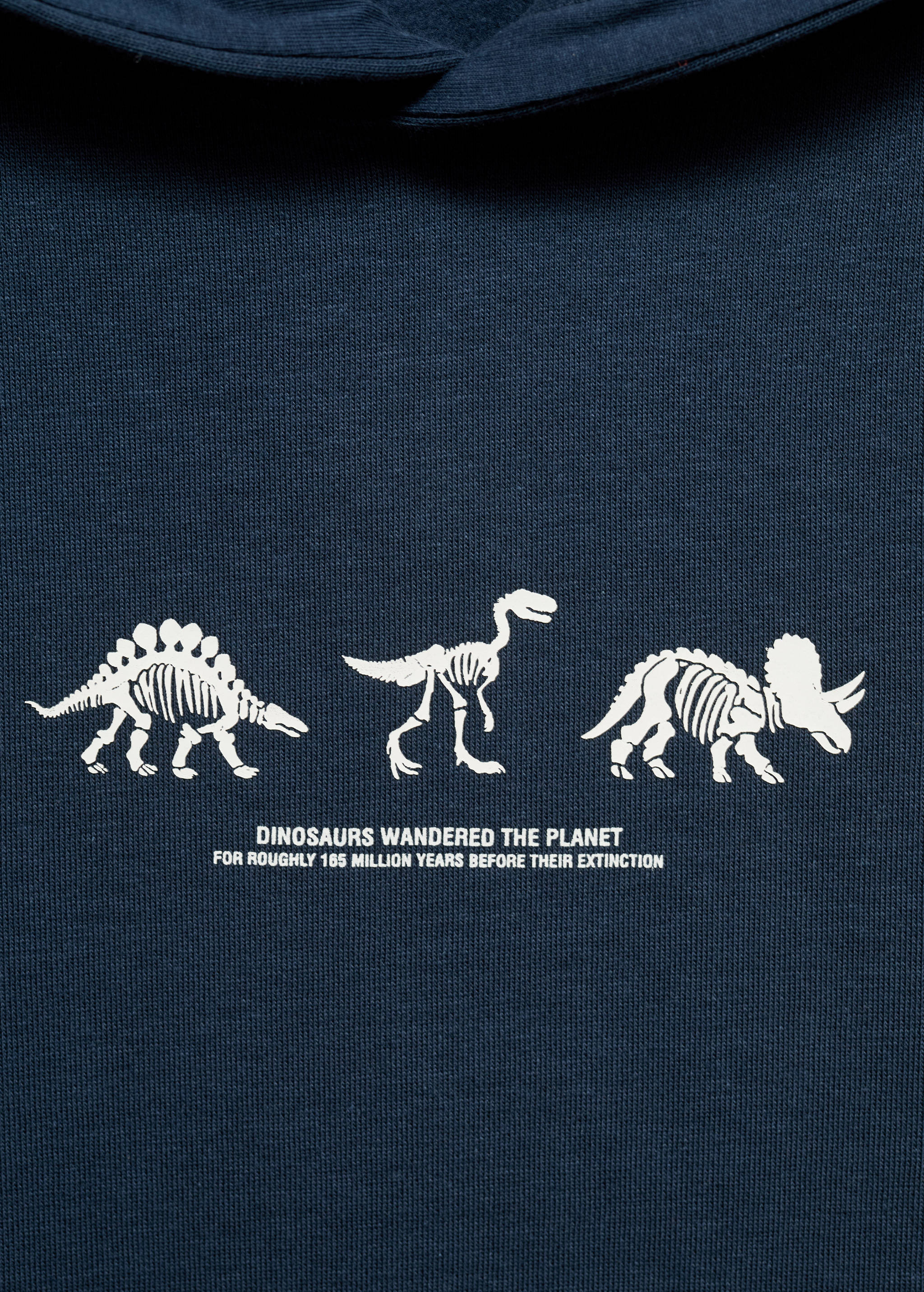 Dinosaur print hoodie - Details of the article 8