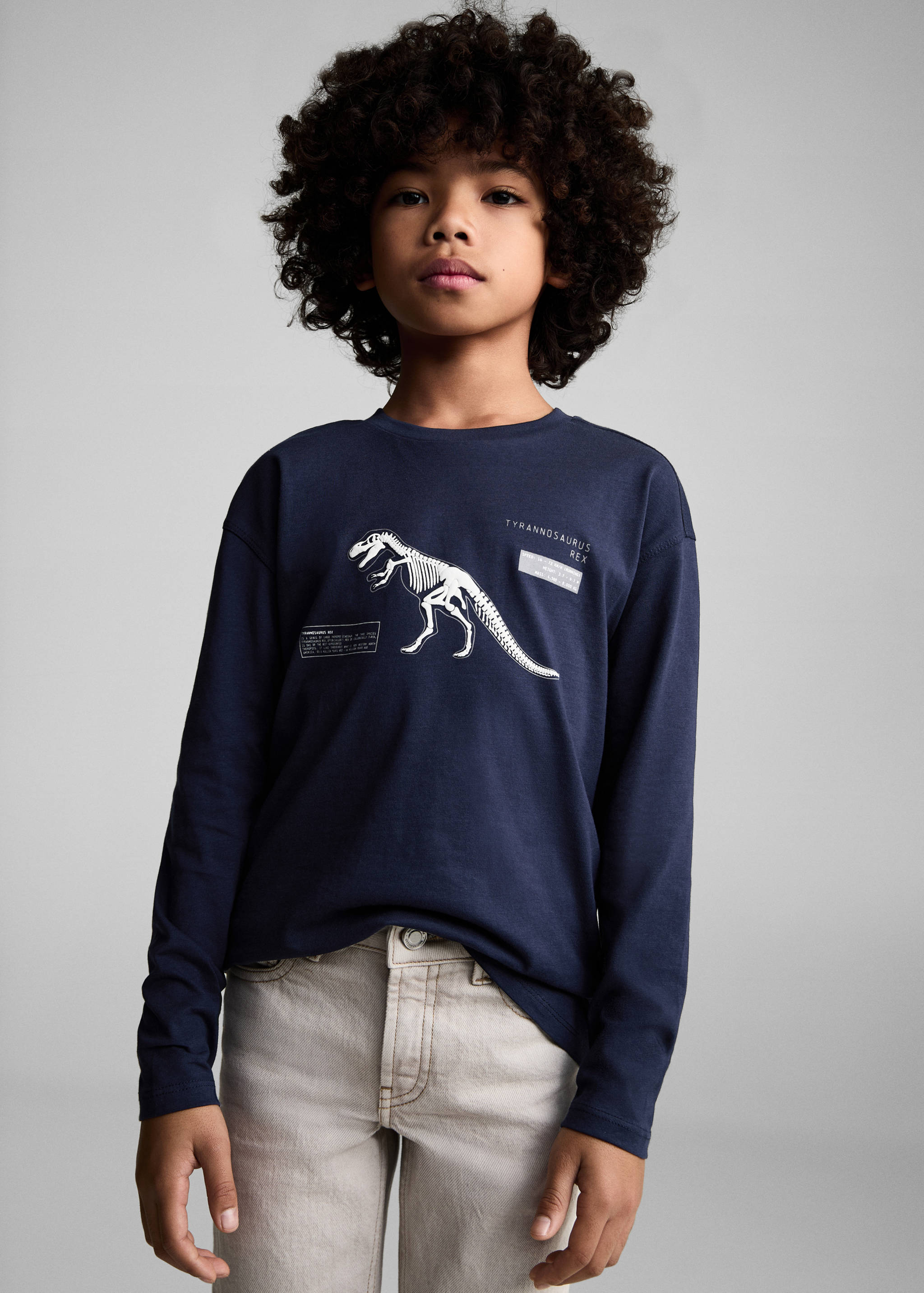 Dinosaur print hoodie - Medium plane