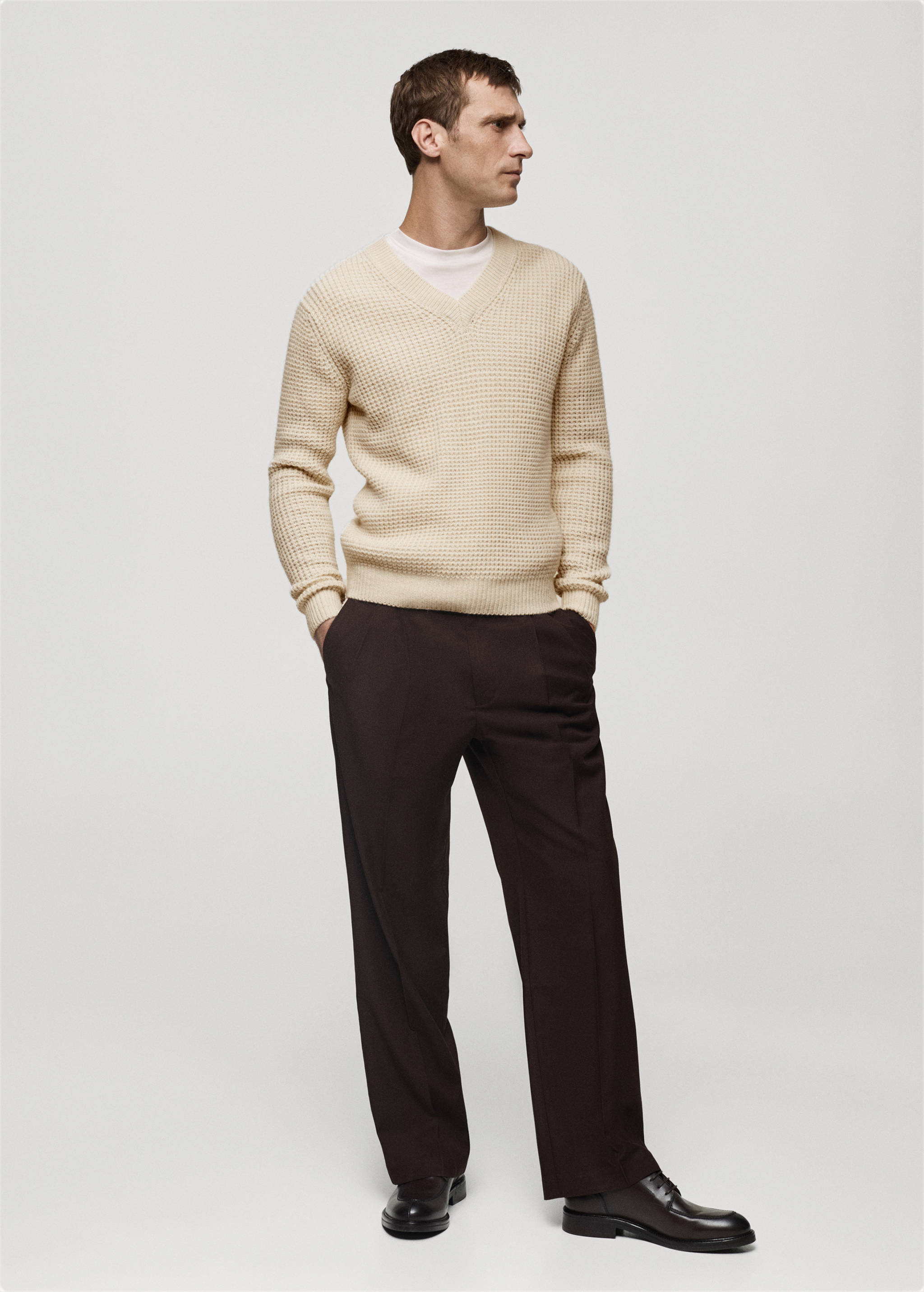 Regular-fit pleated trousers - General plane