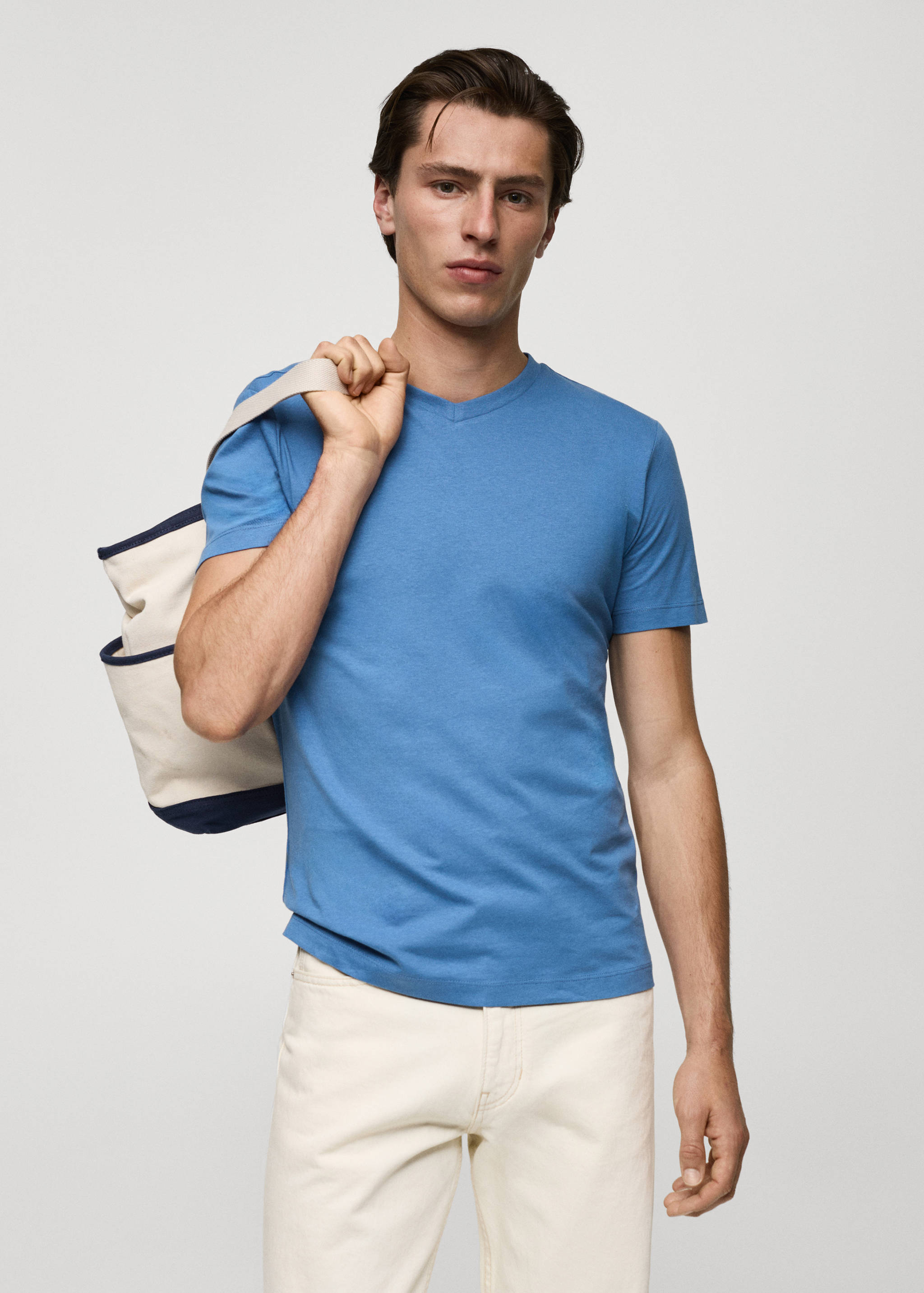 Slim-fit cotton V-neck t-shirt - Medium plane