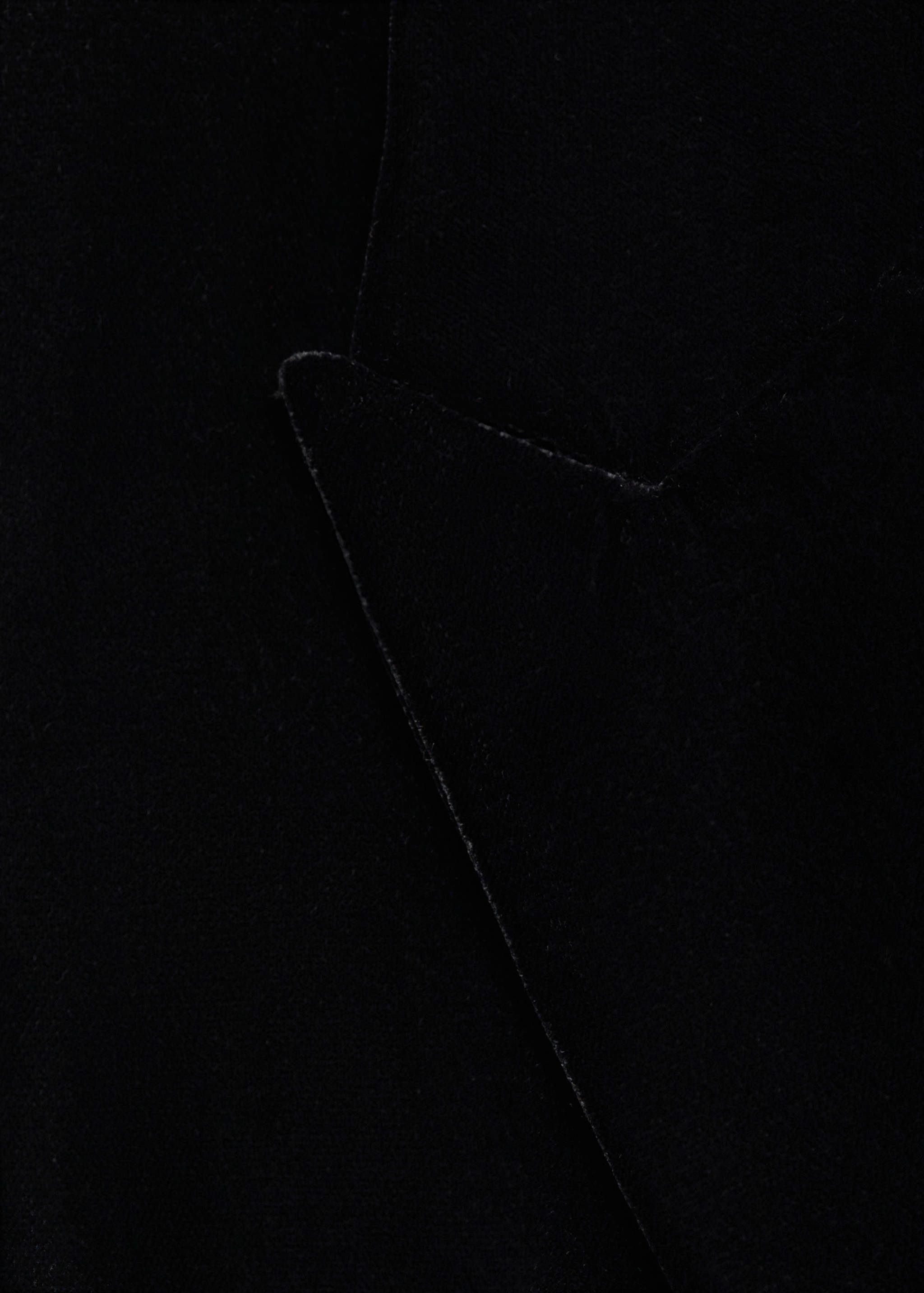 Structured velvet blazer - Details of the article 8