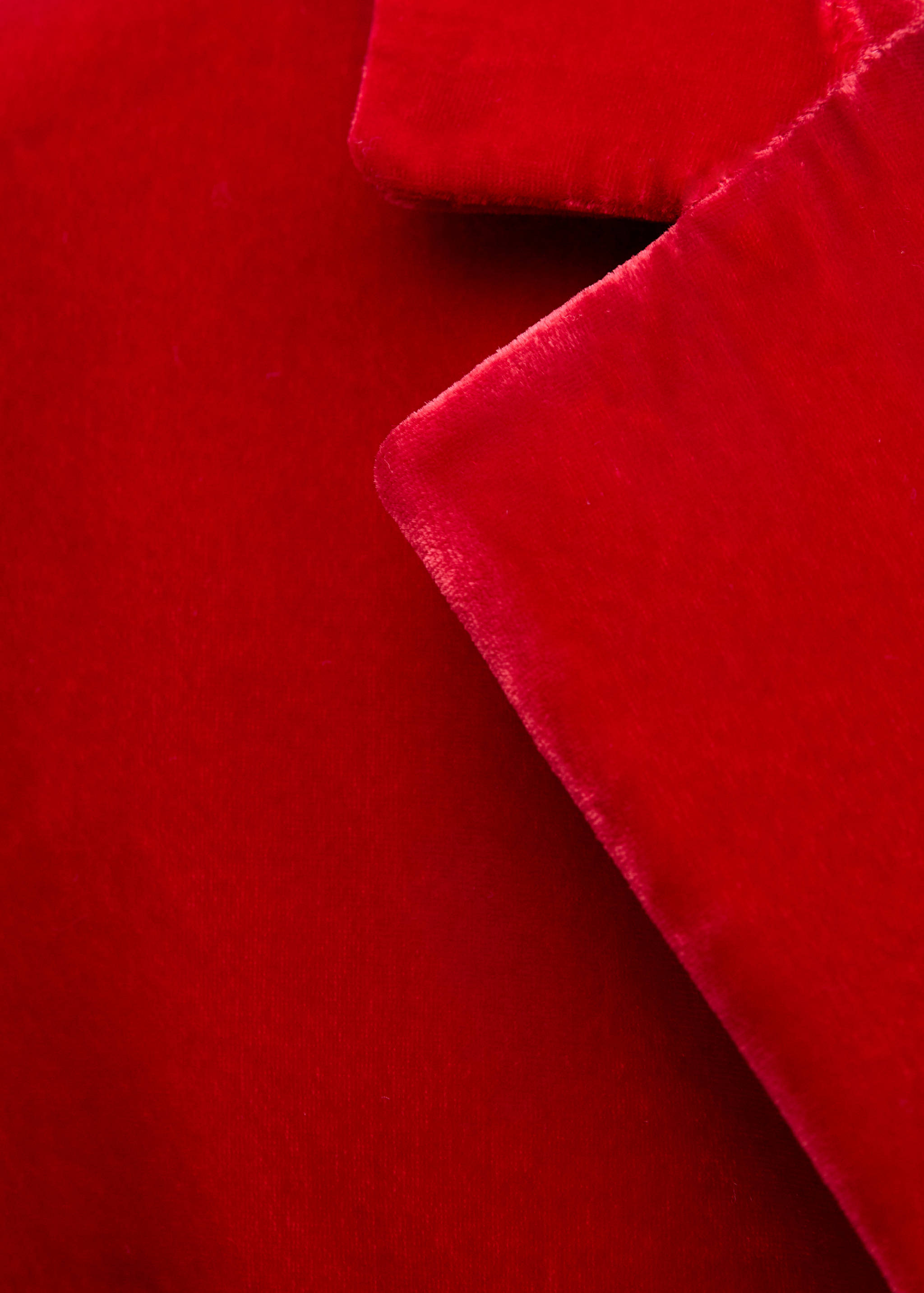 Velvet suit jacket - Details of the article 0