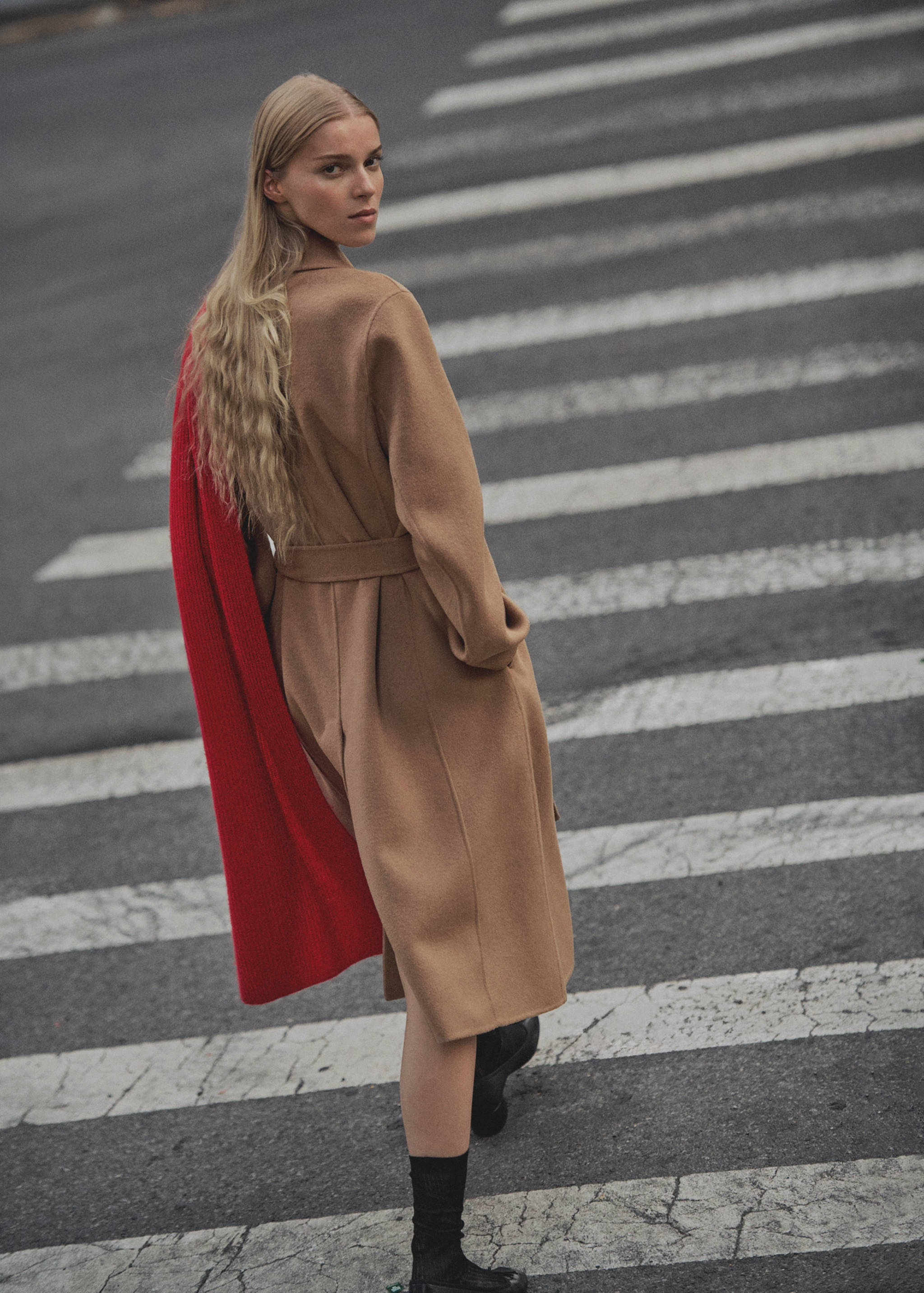 Wool cashmere scarf - General plane