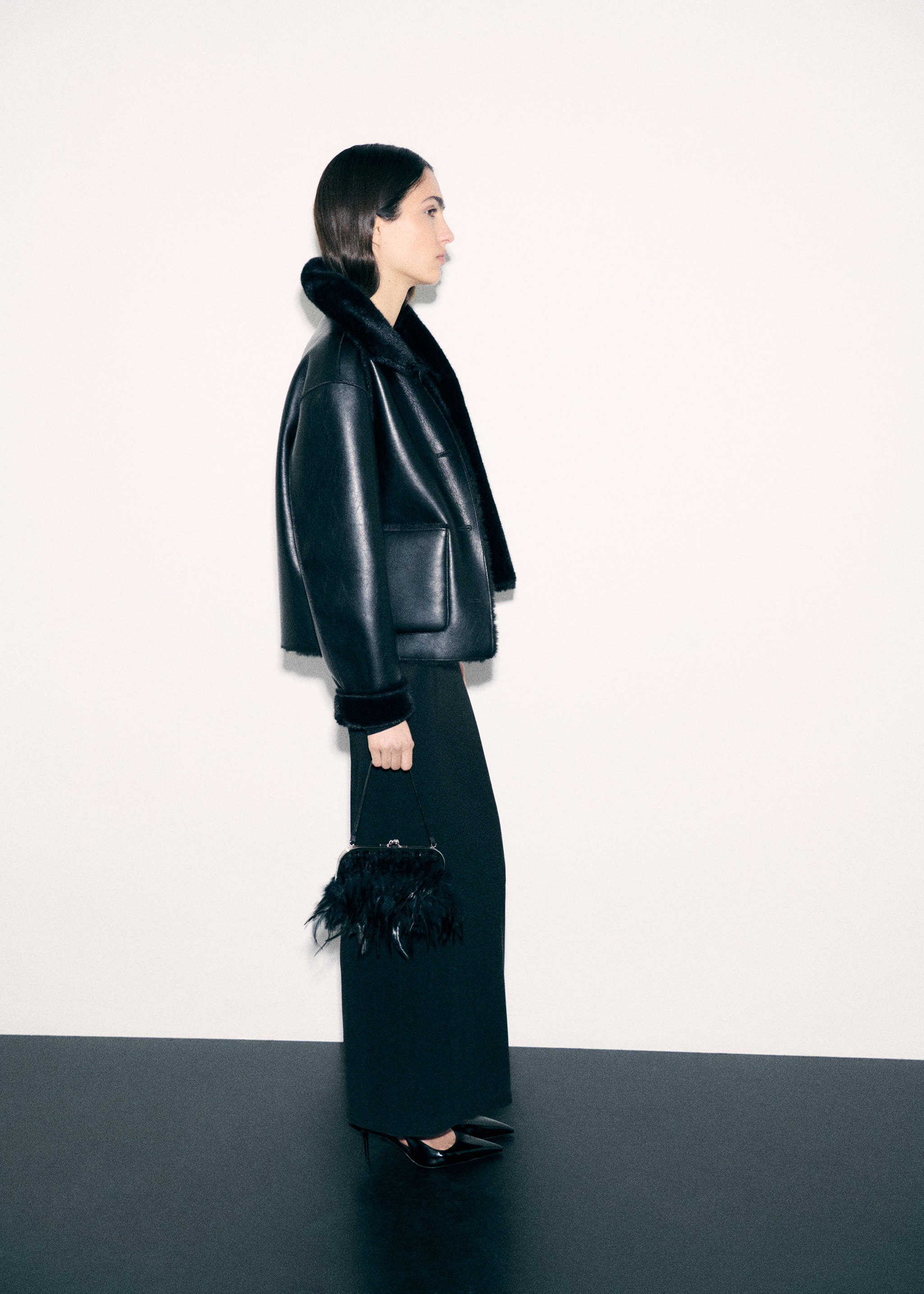 Short-handle feather bag - General plane