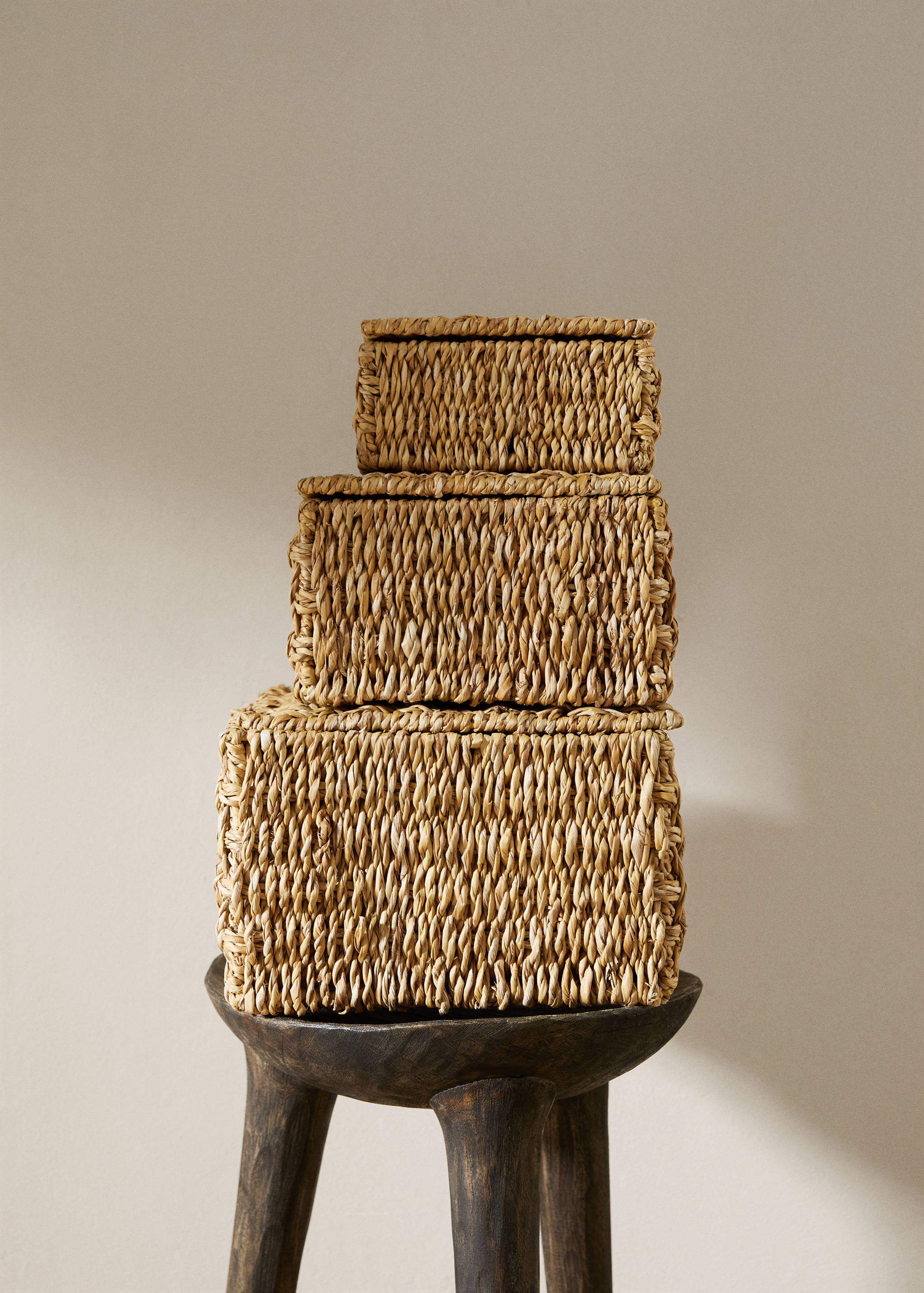 Large natural fiber basket with lid - General plane