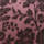 Colour Pink