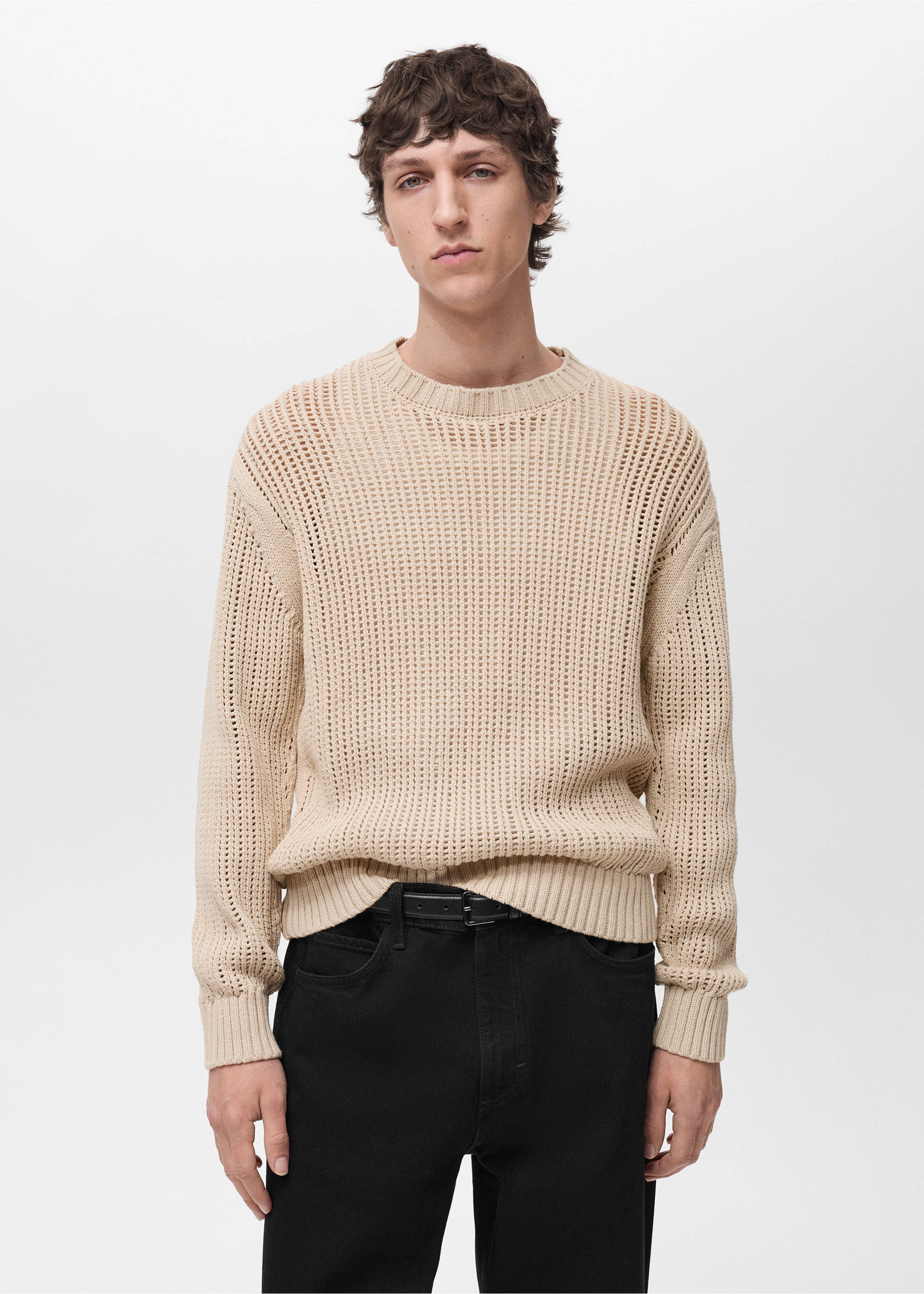 100% cotton knitted sweater with lace design - Medium plane, Beige. Ref: 87004414-00.