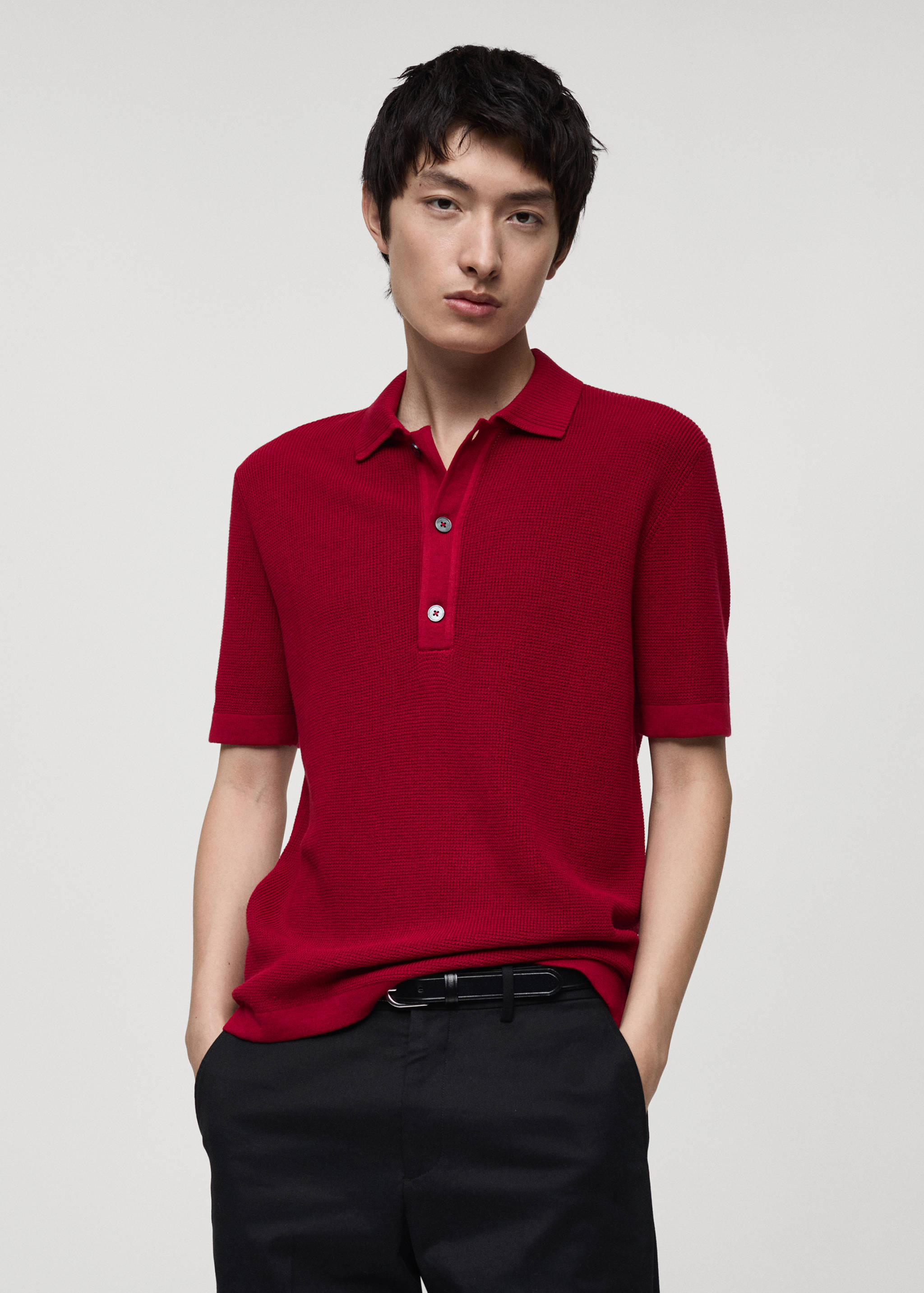 100% cotton knitted polo shirt - Medium plane