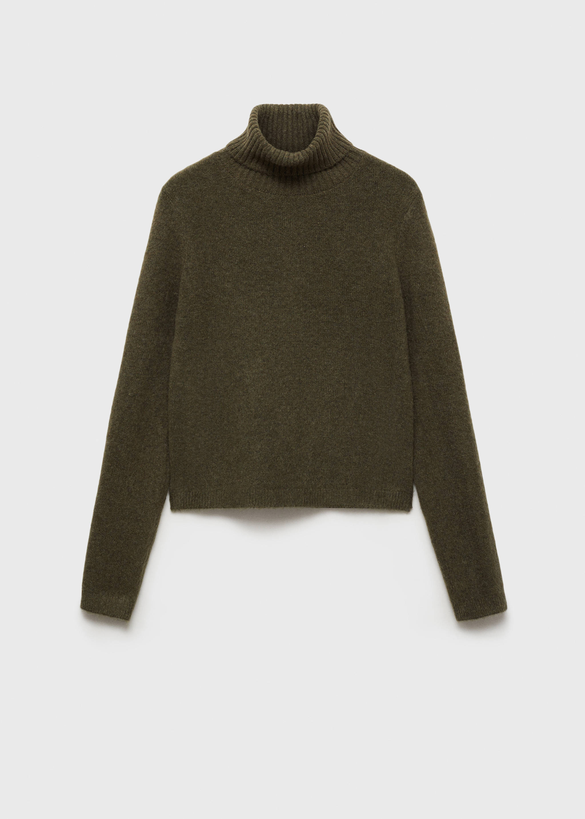 Turtle neck sweater - Article without model