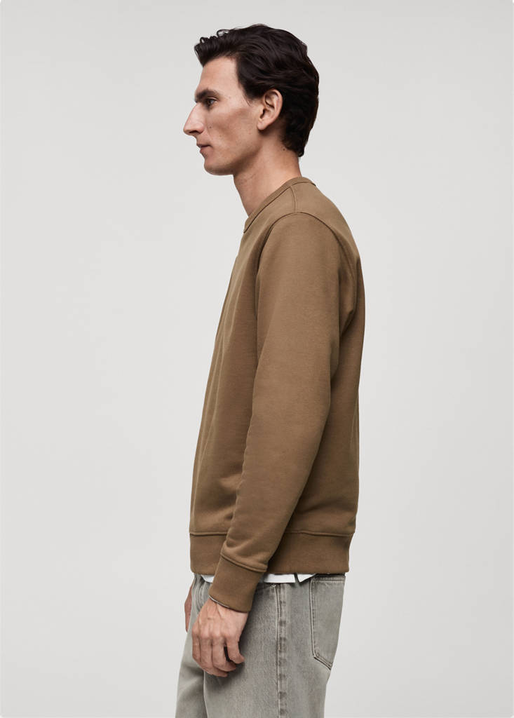 Regular-fit cotton sweatshirt — Medium Brown
