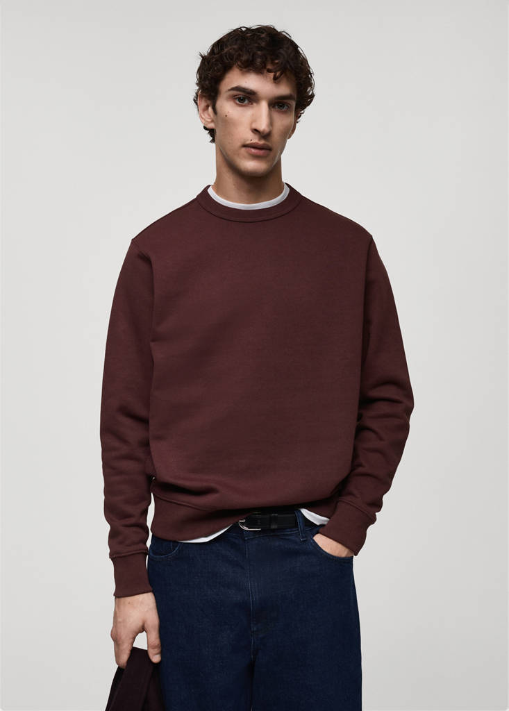 Regular-fit cotton sweatshirt — Burgundy