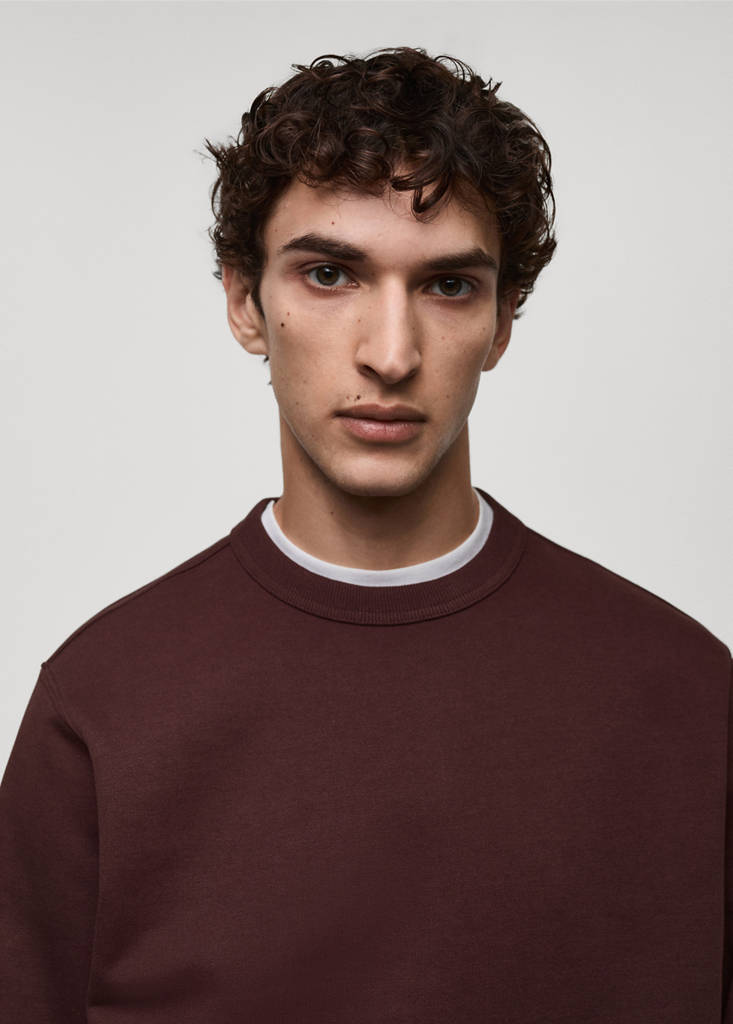 Regular-fit cotton sweatshirt — Burgundy